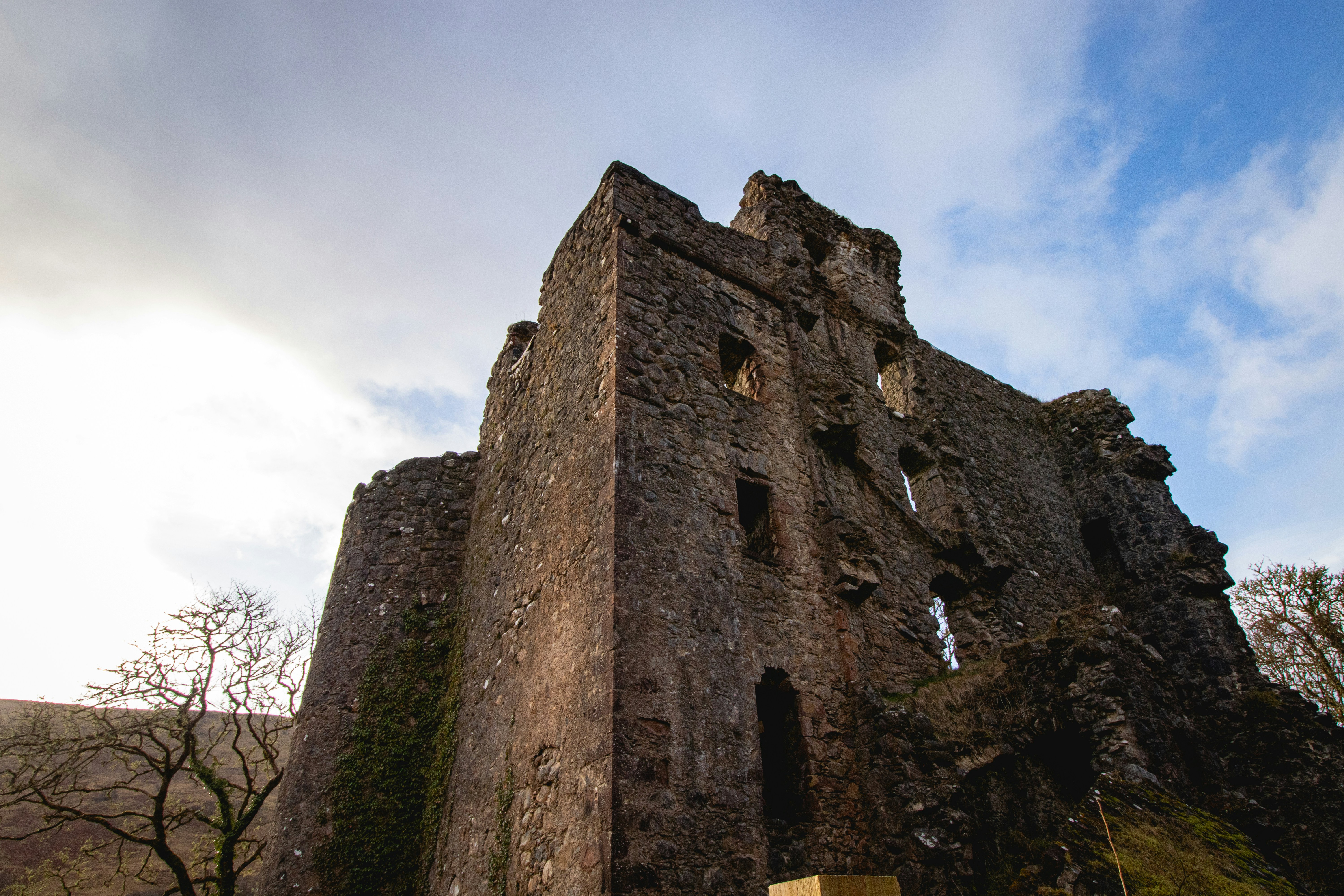 Photo by tpminettphotography