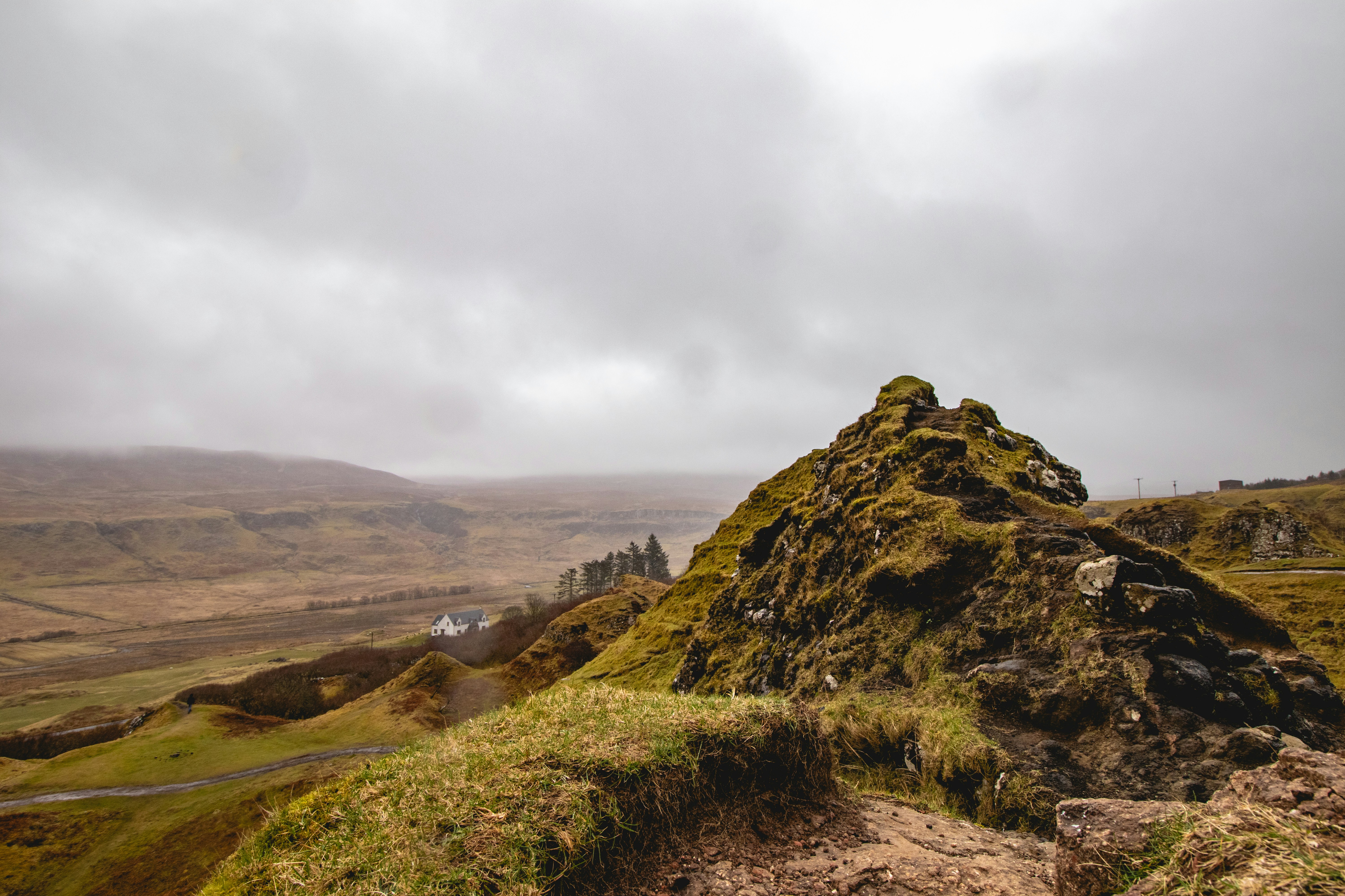 Photo by tpminettphotography