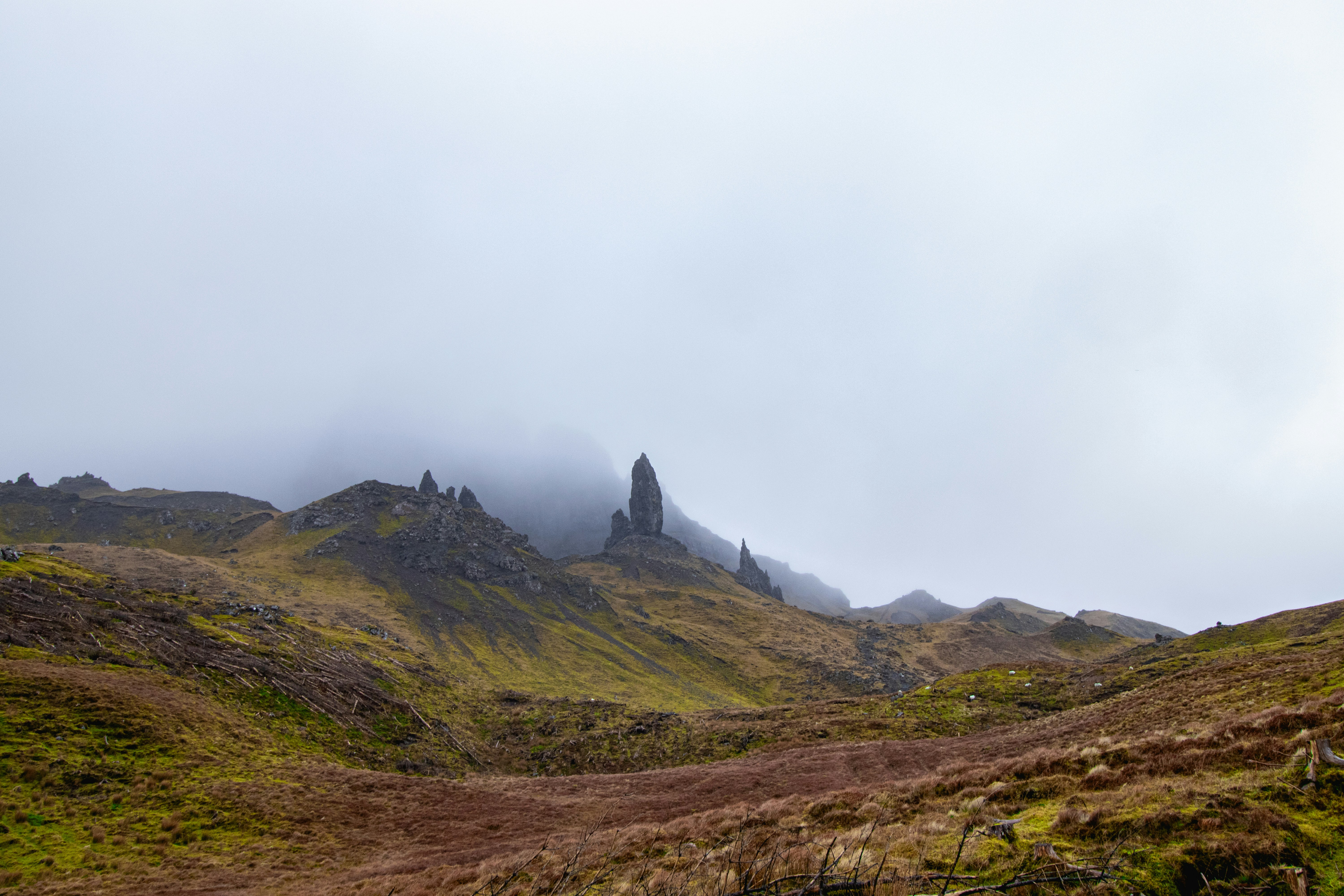 Photo by tpminettphotography