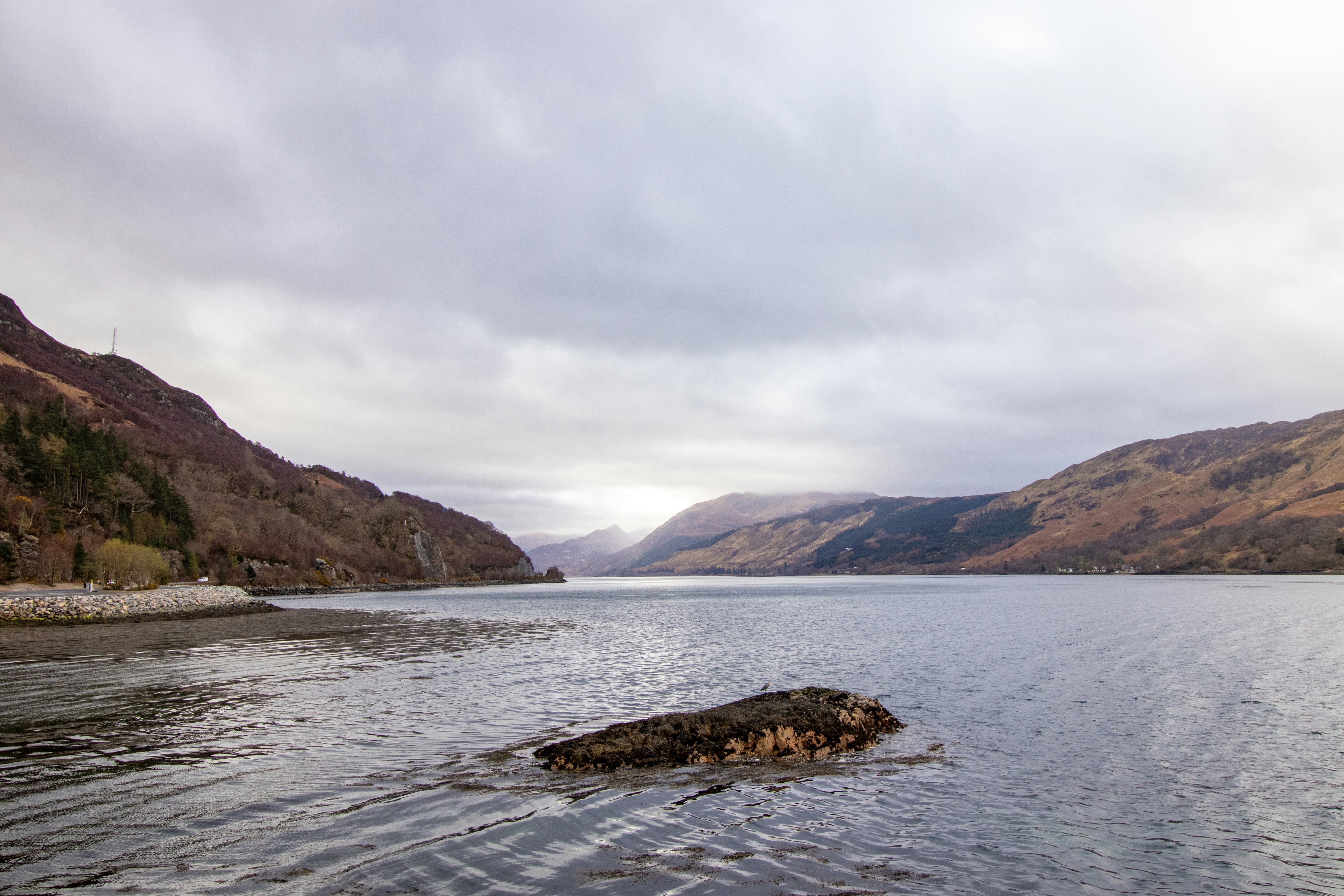 Photo by tpminettphotography