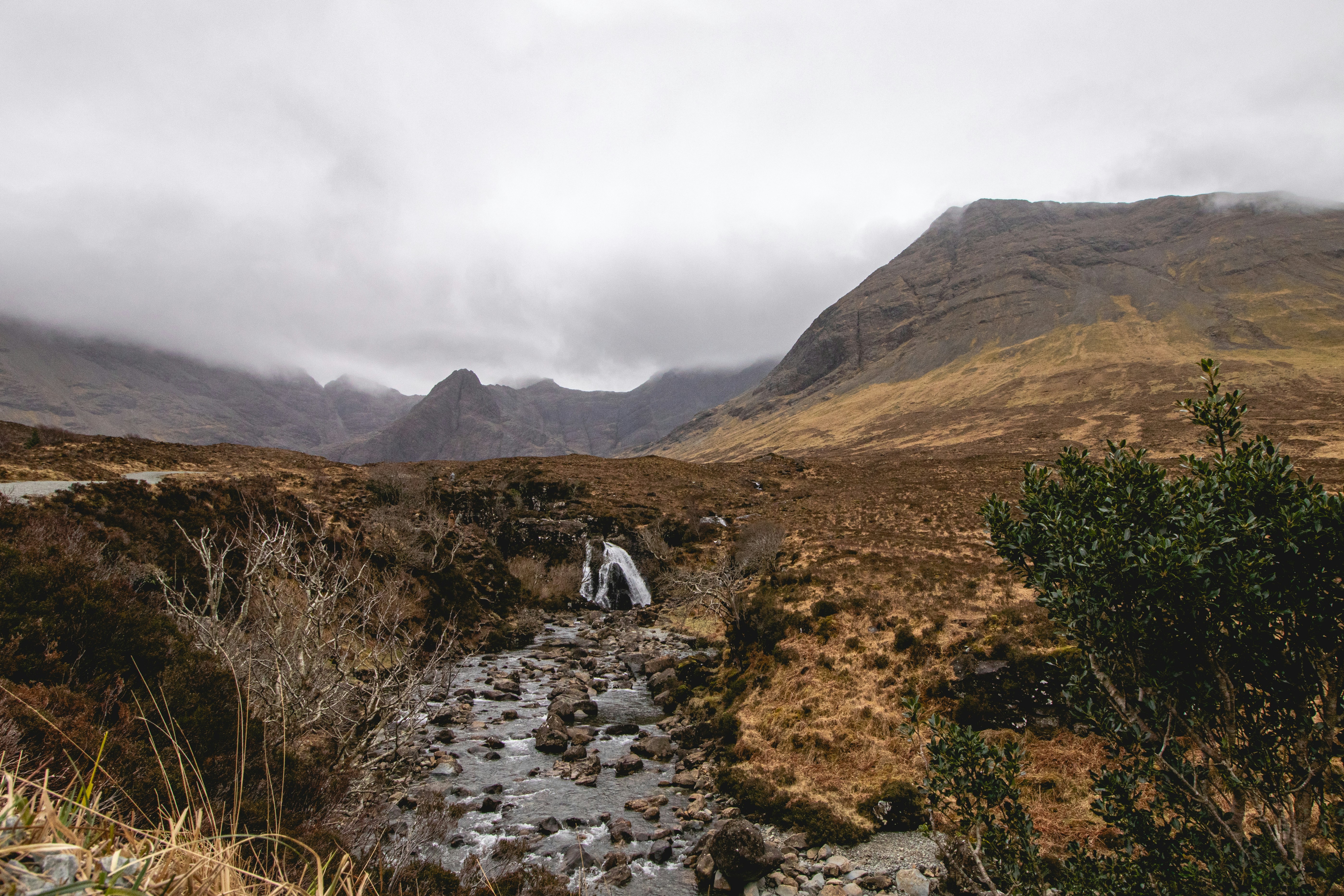 Photo by tpminettphotography