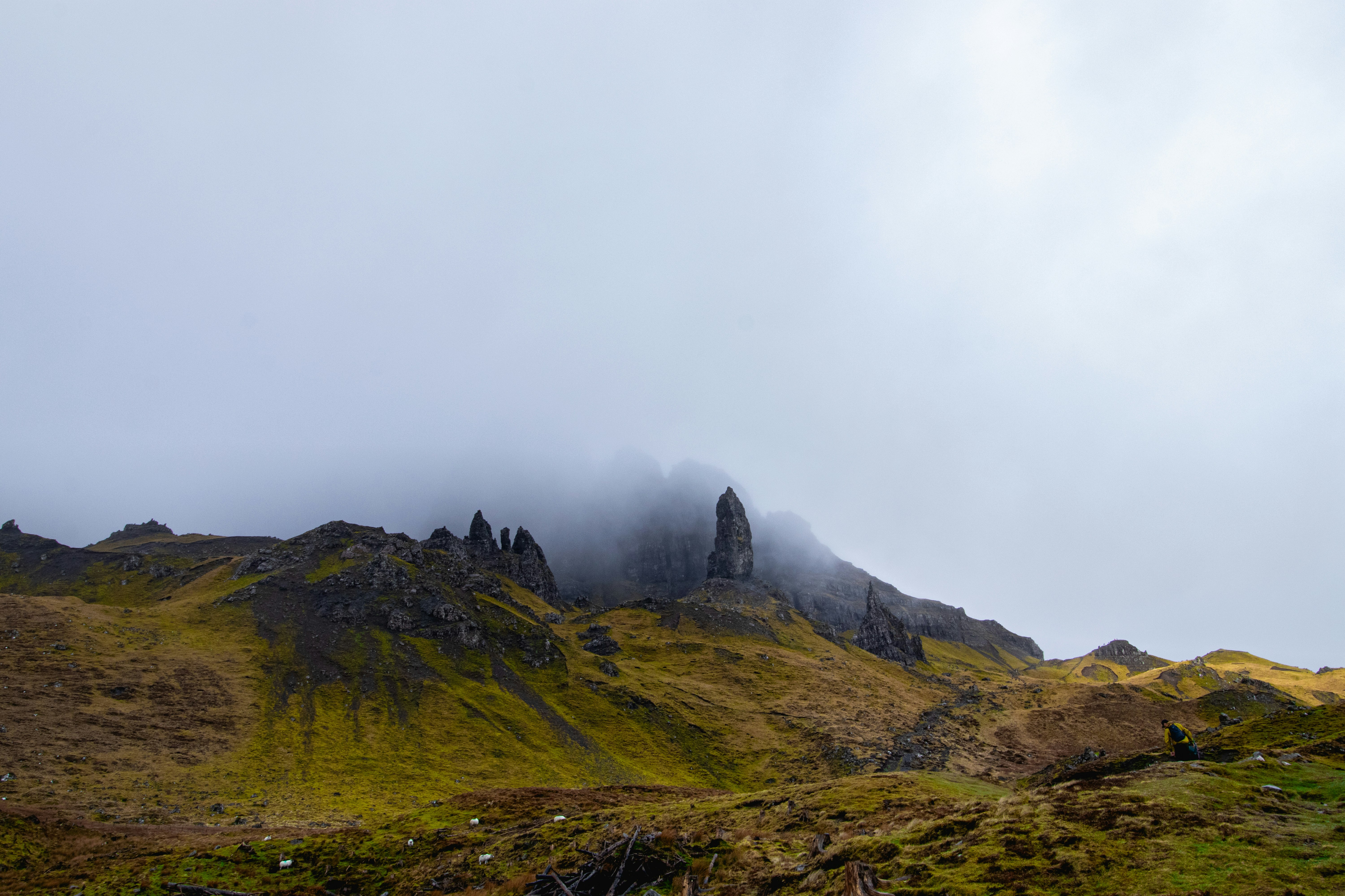 Photo by tpminettphotography