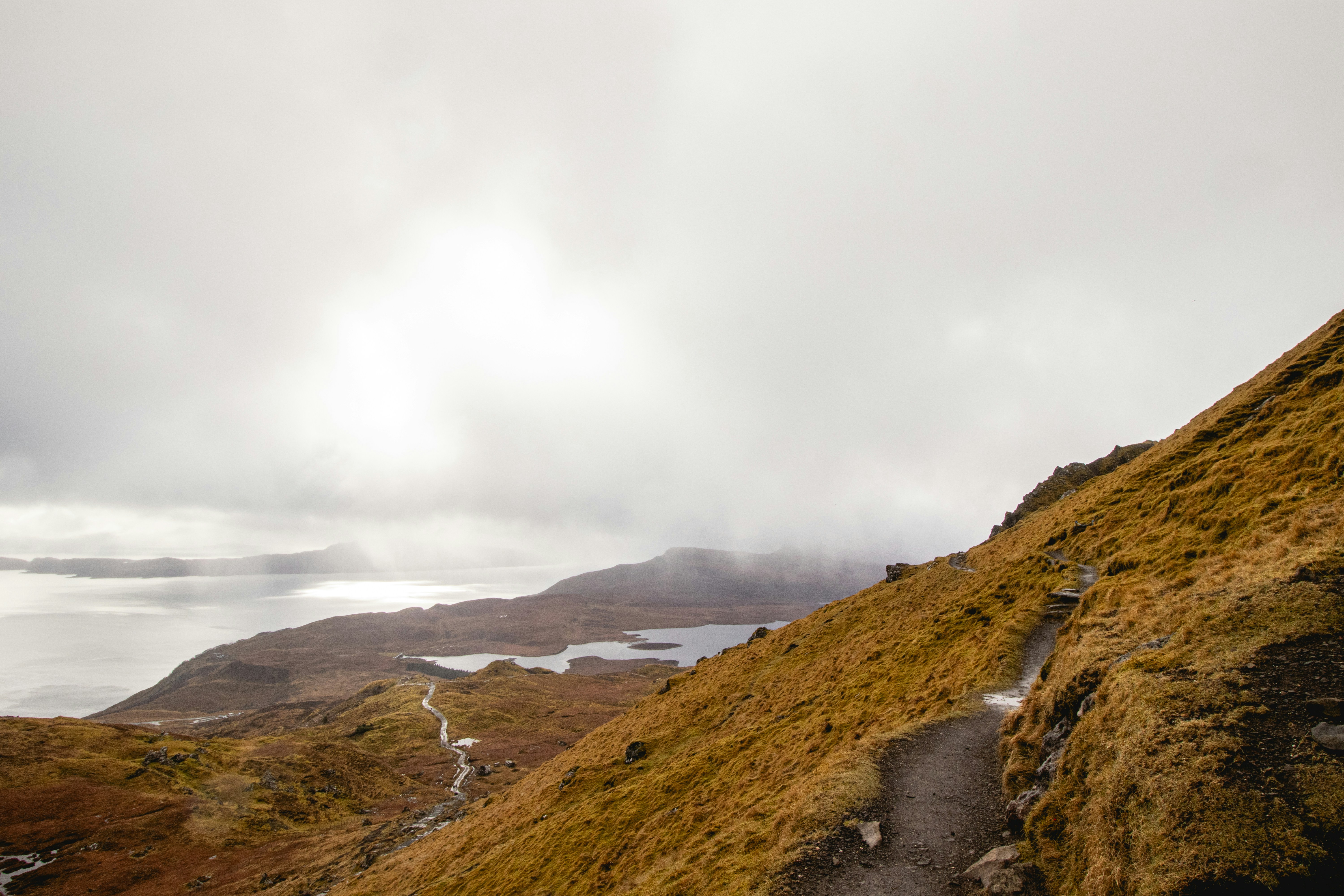 Photo by tpminettphotography