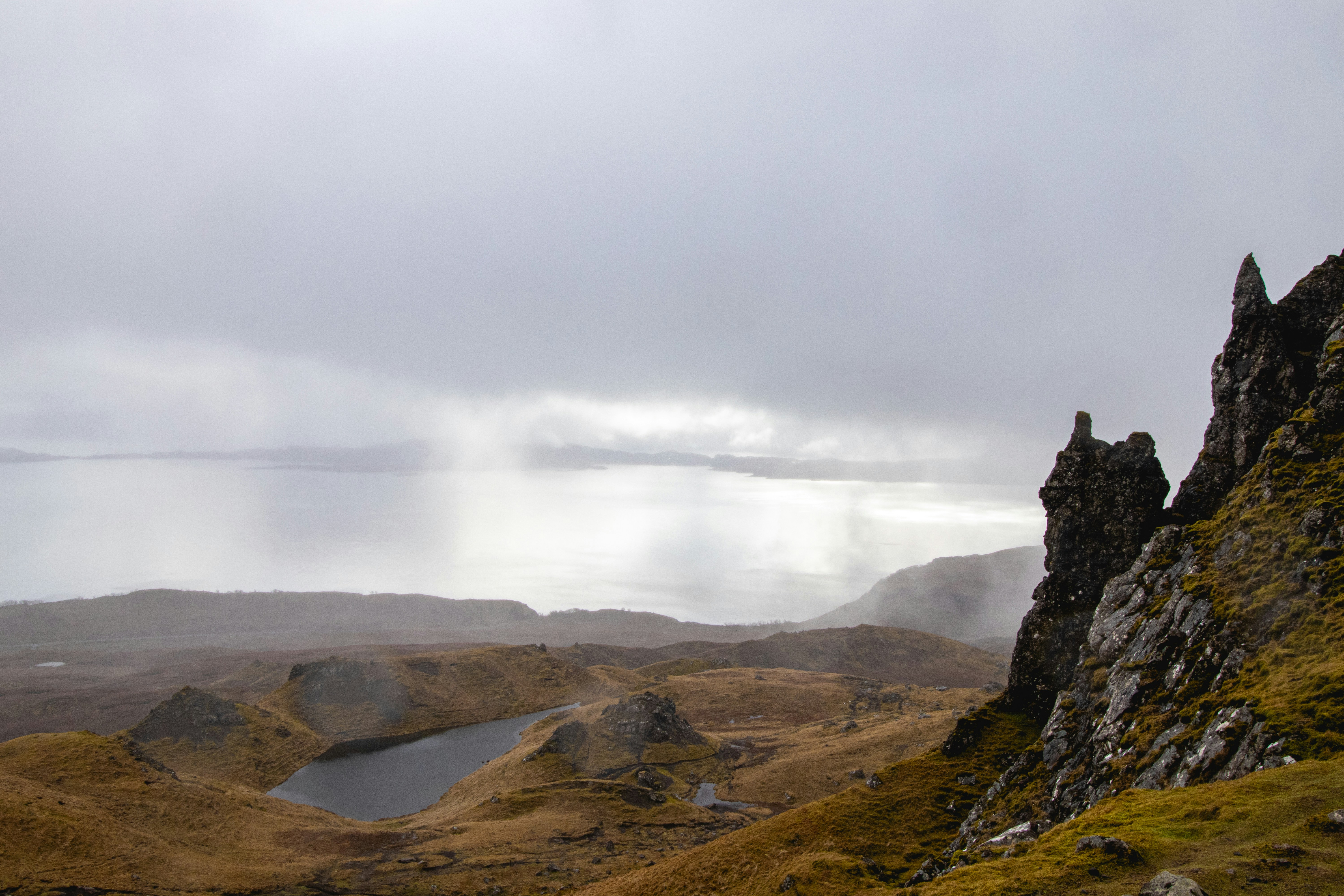 Photo by tpminettphotography