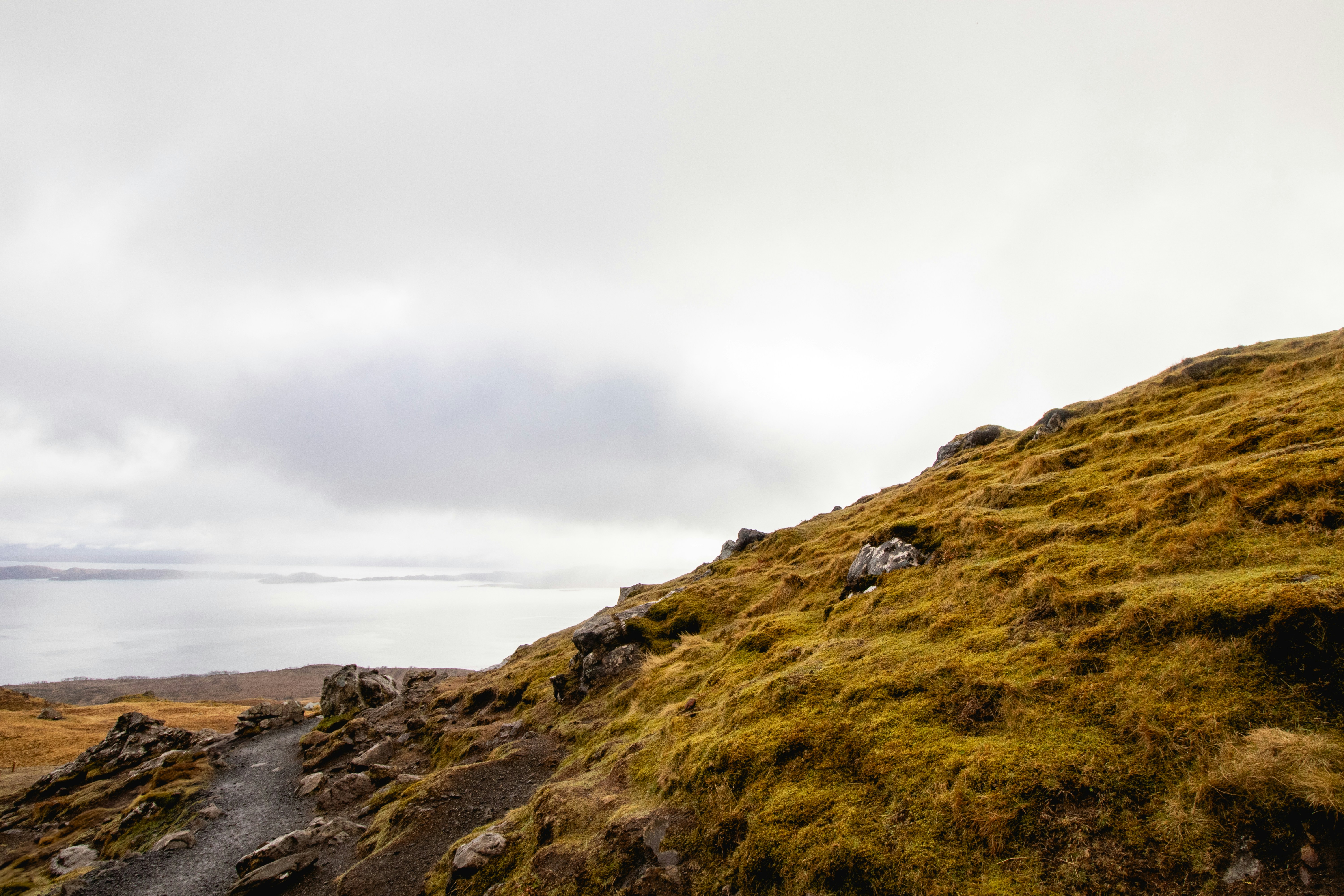 Photo by tpminettphotography