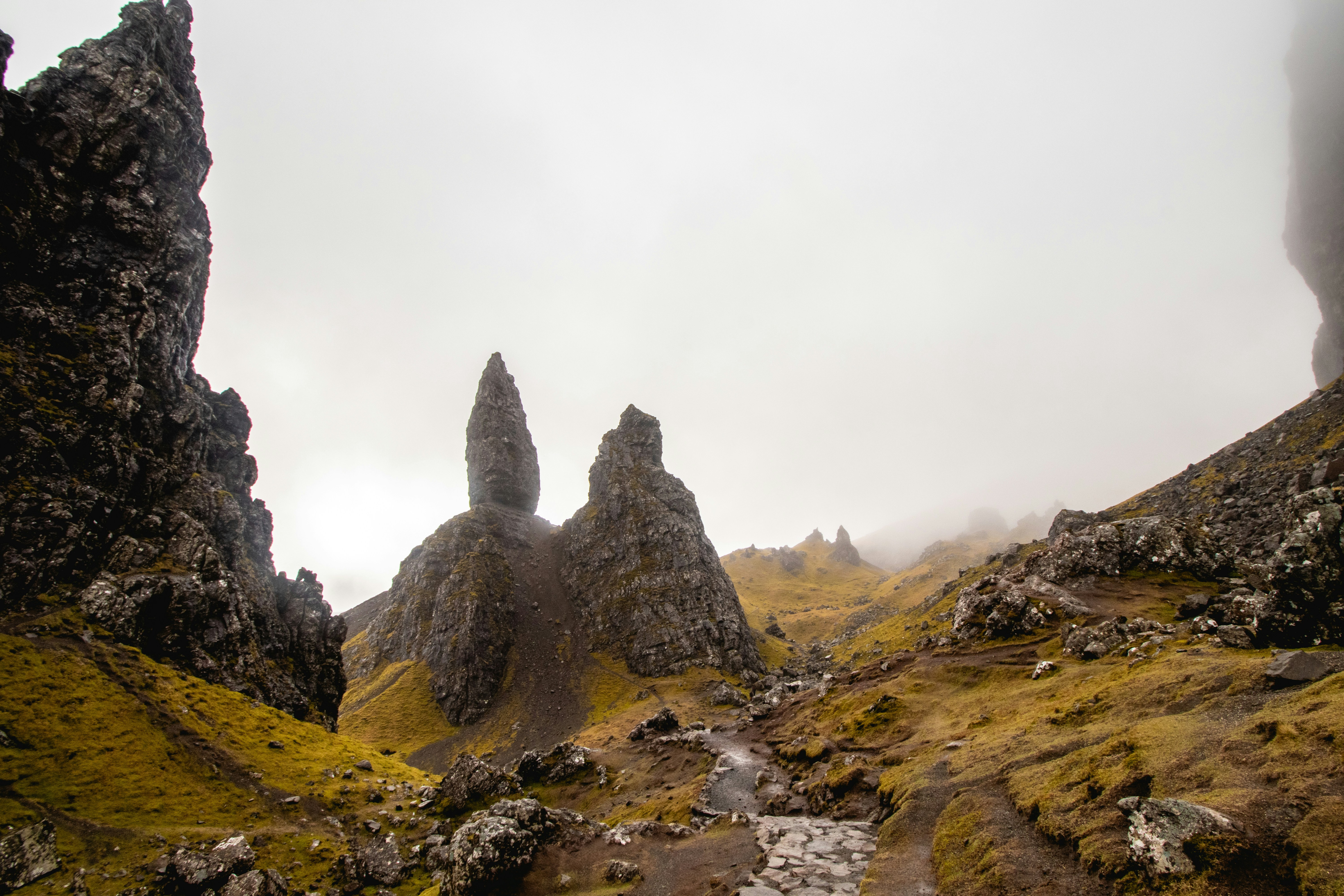 Photo by tpminettphotography