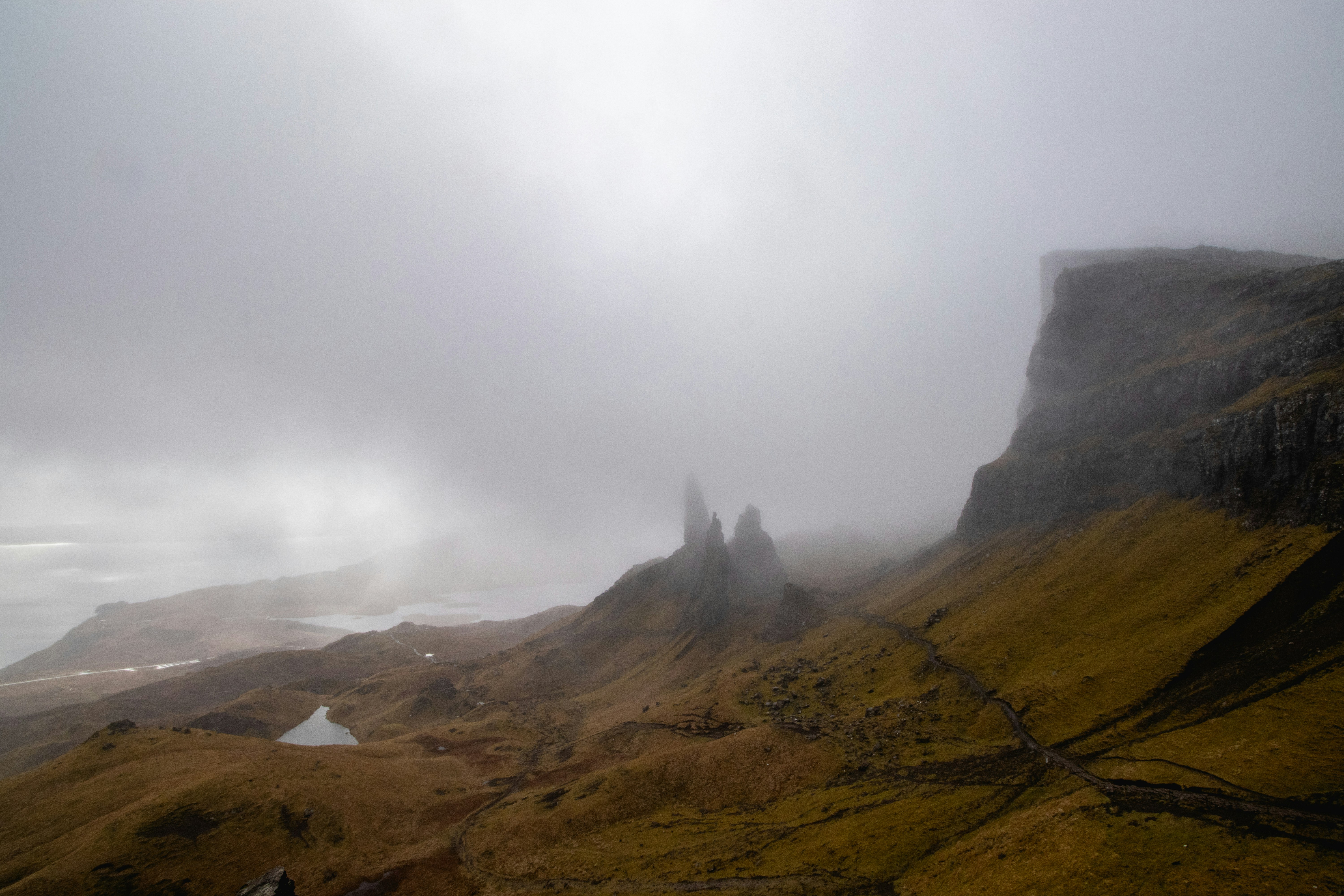 Photo by tpminettphotography