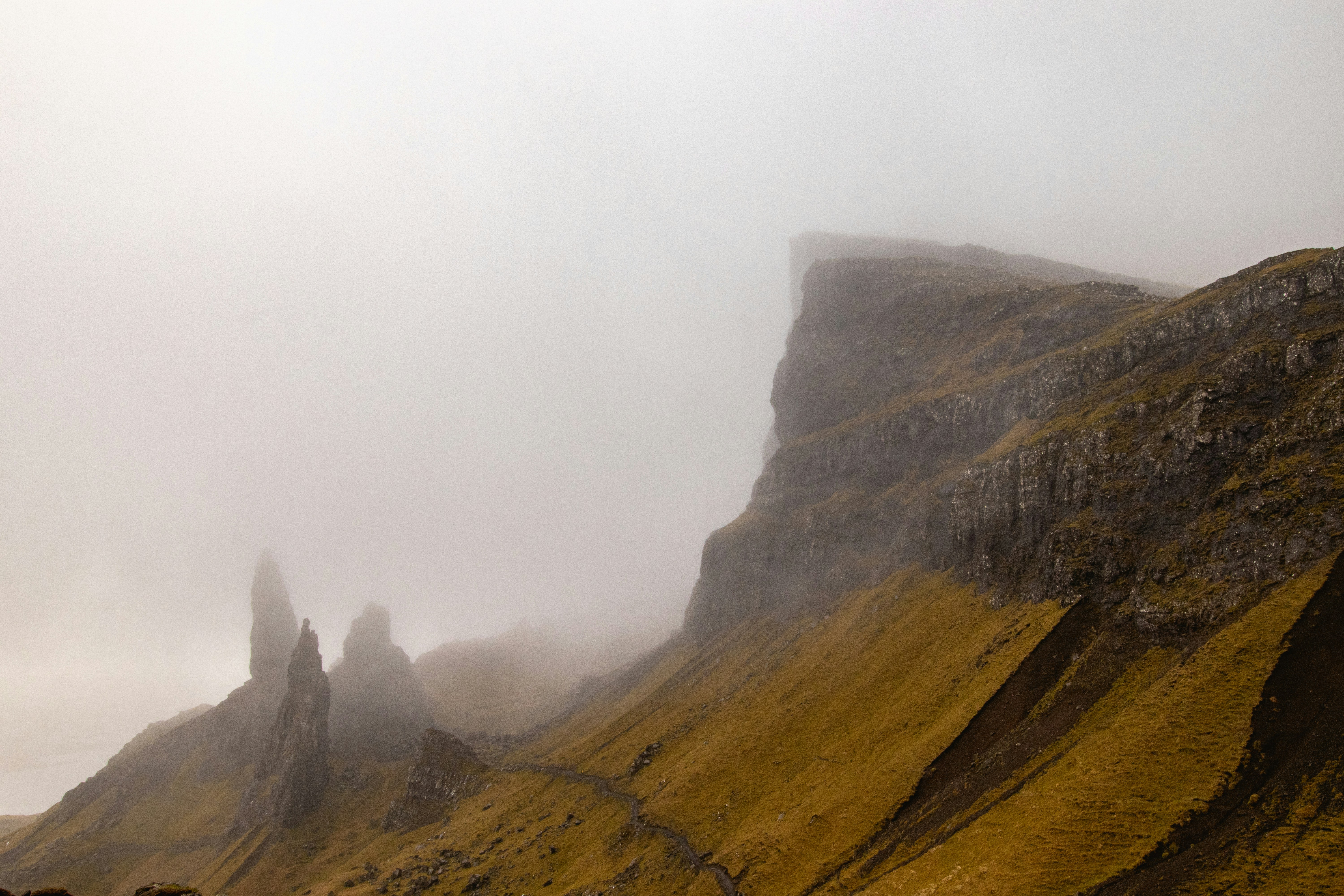 Photo by tpminettphotography