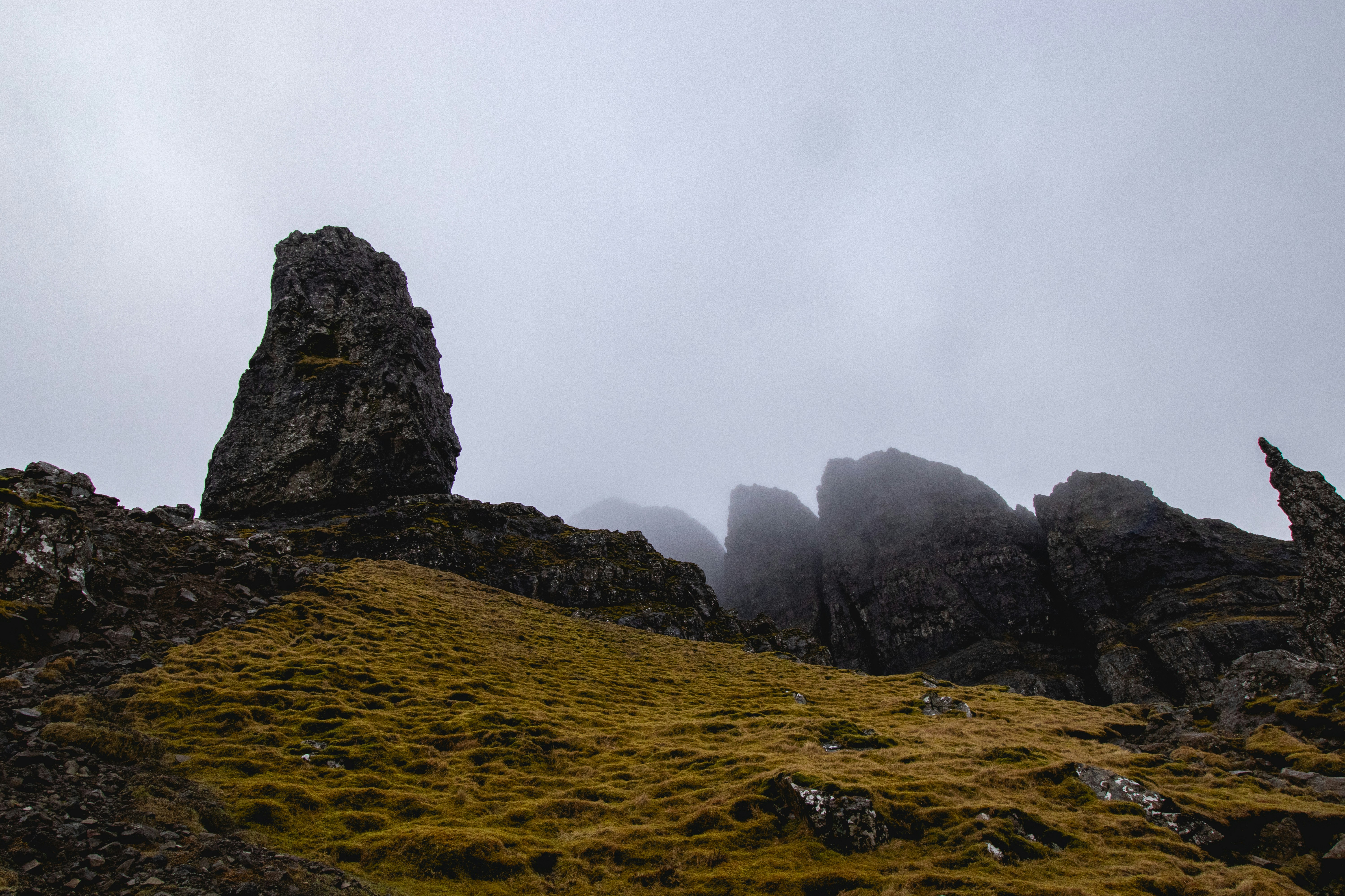 Photo by tpminettphotography