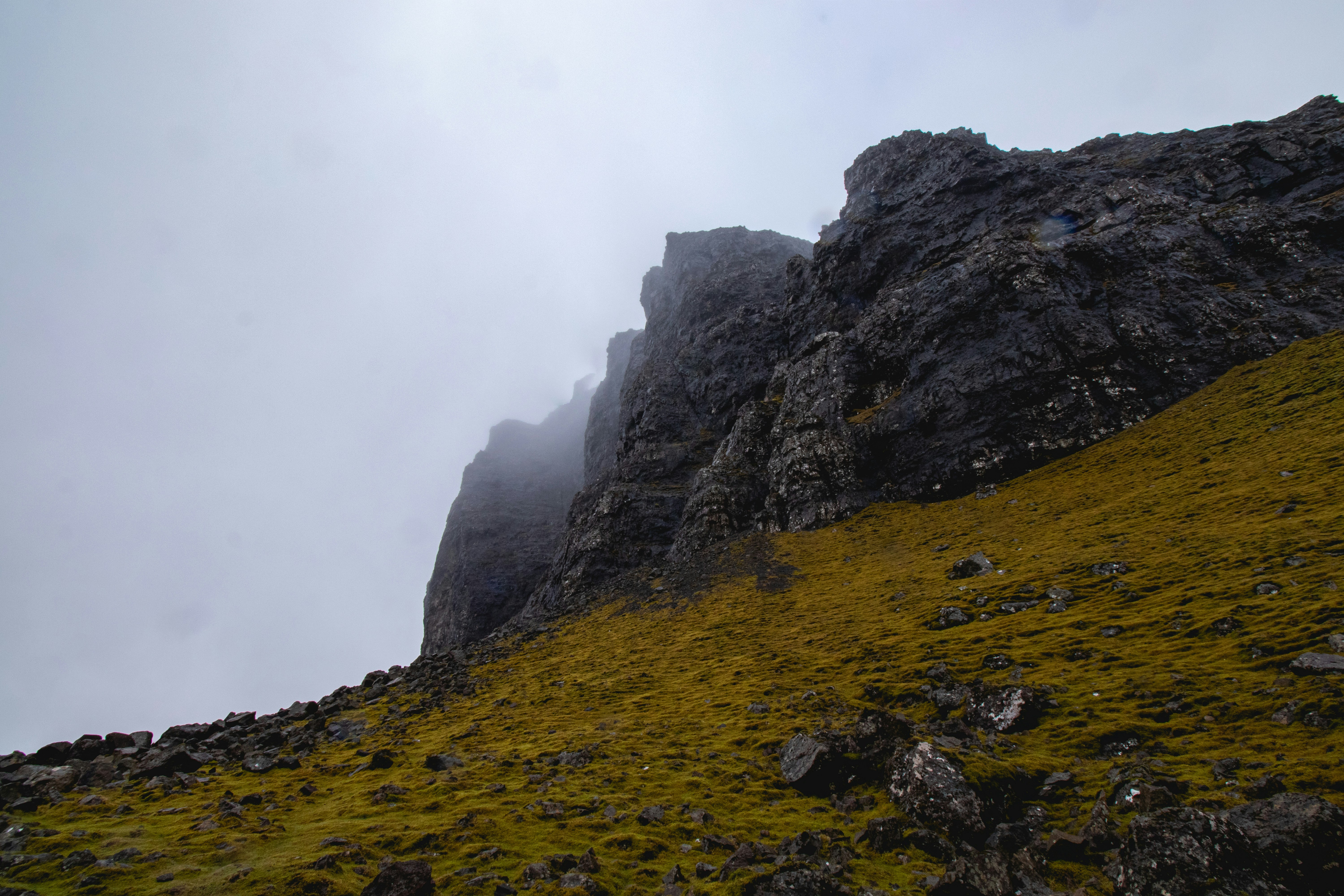 Photo by tpminettphotography