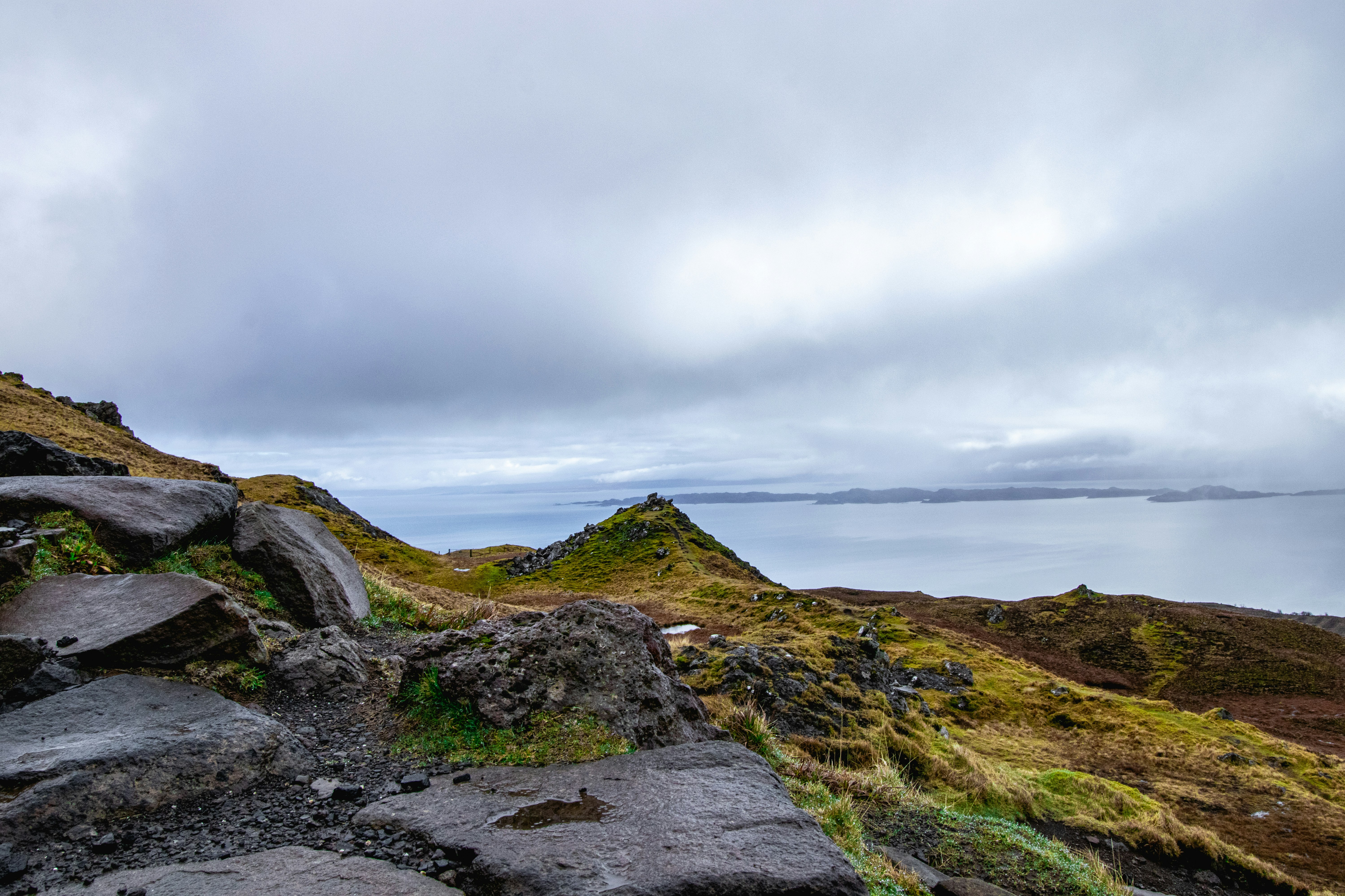 Photo by tpminettphotography