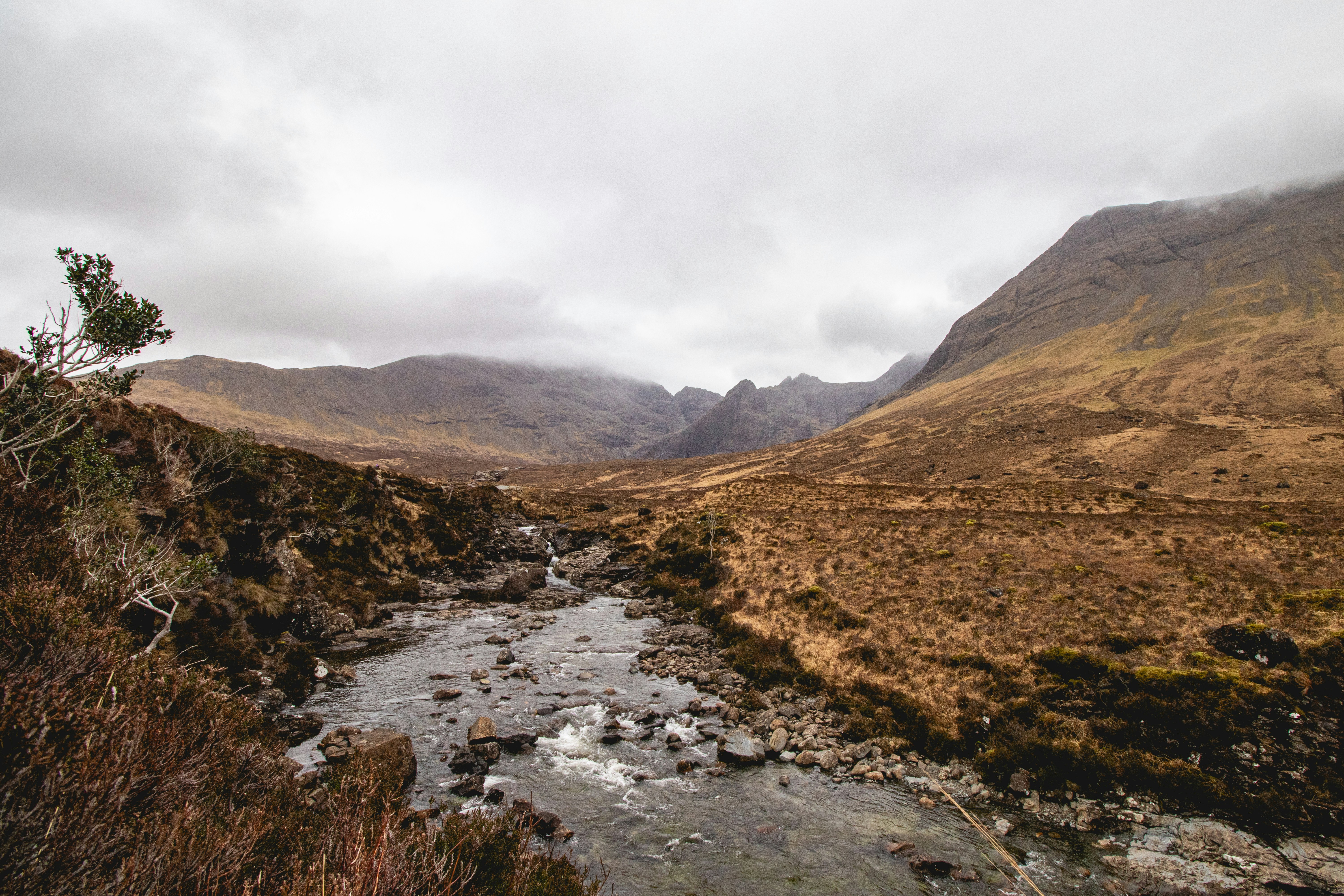 Photo by tpminettphotography