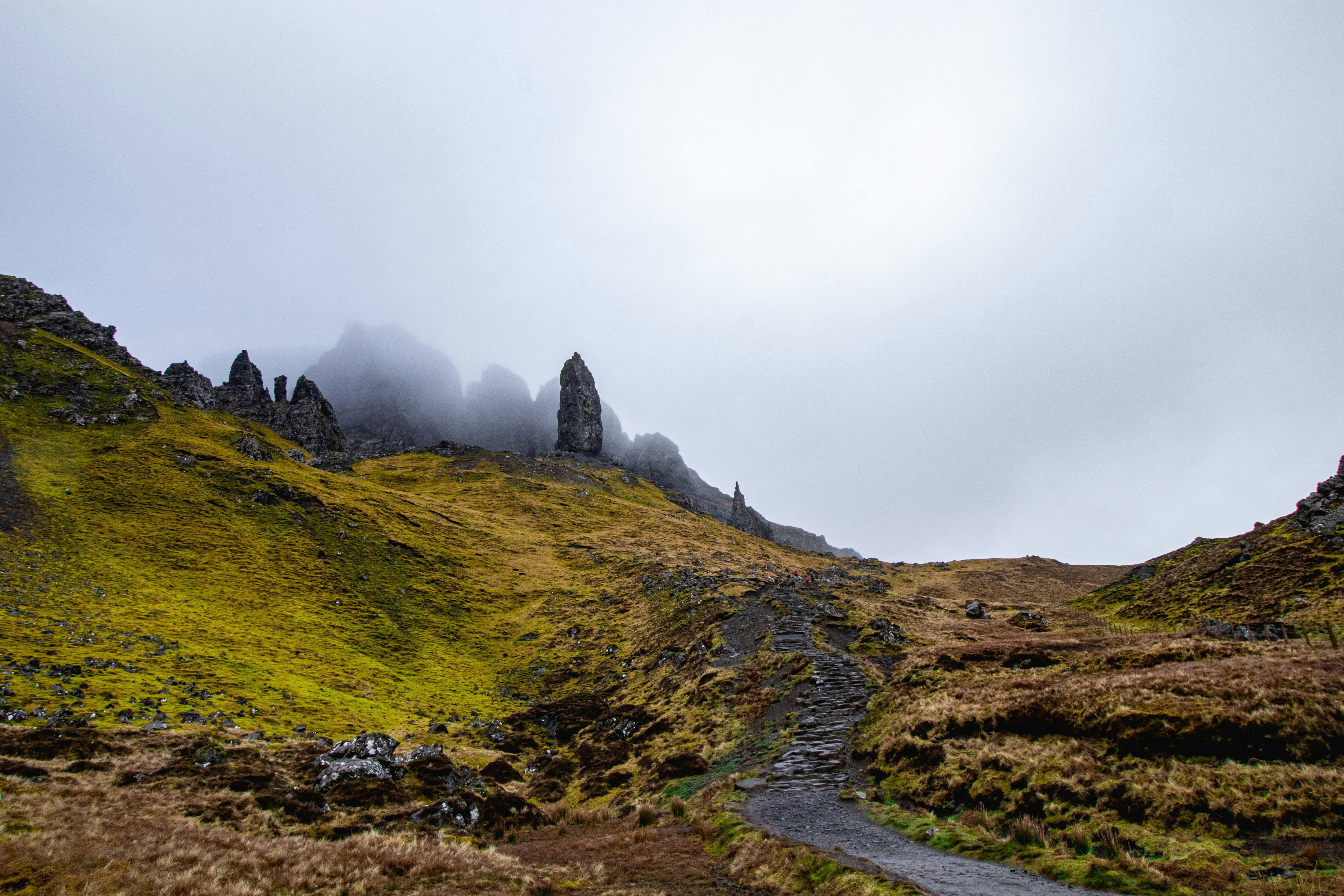 Photo by tpminettphotography