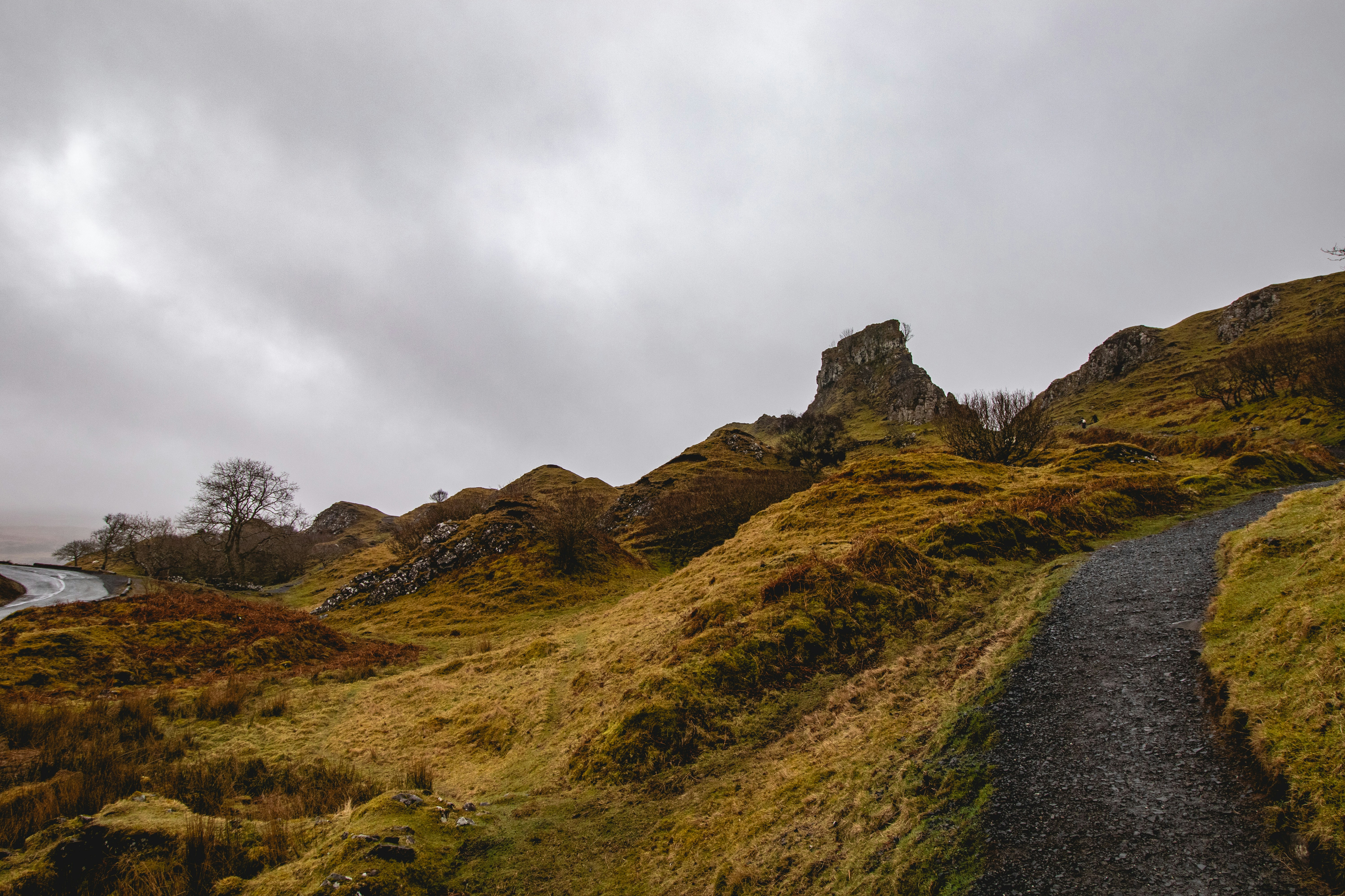 Photo by tpminettphotography