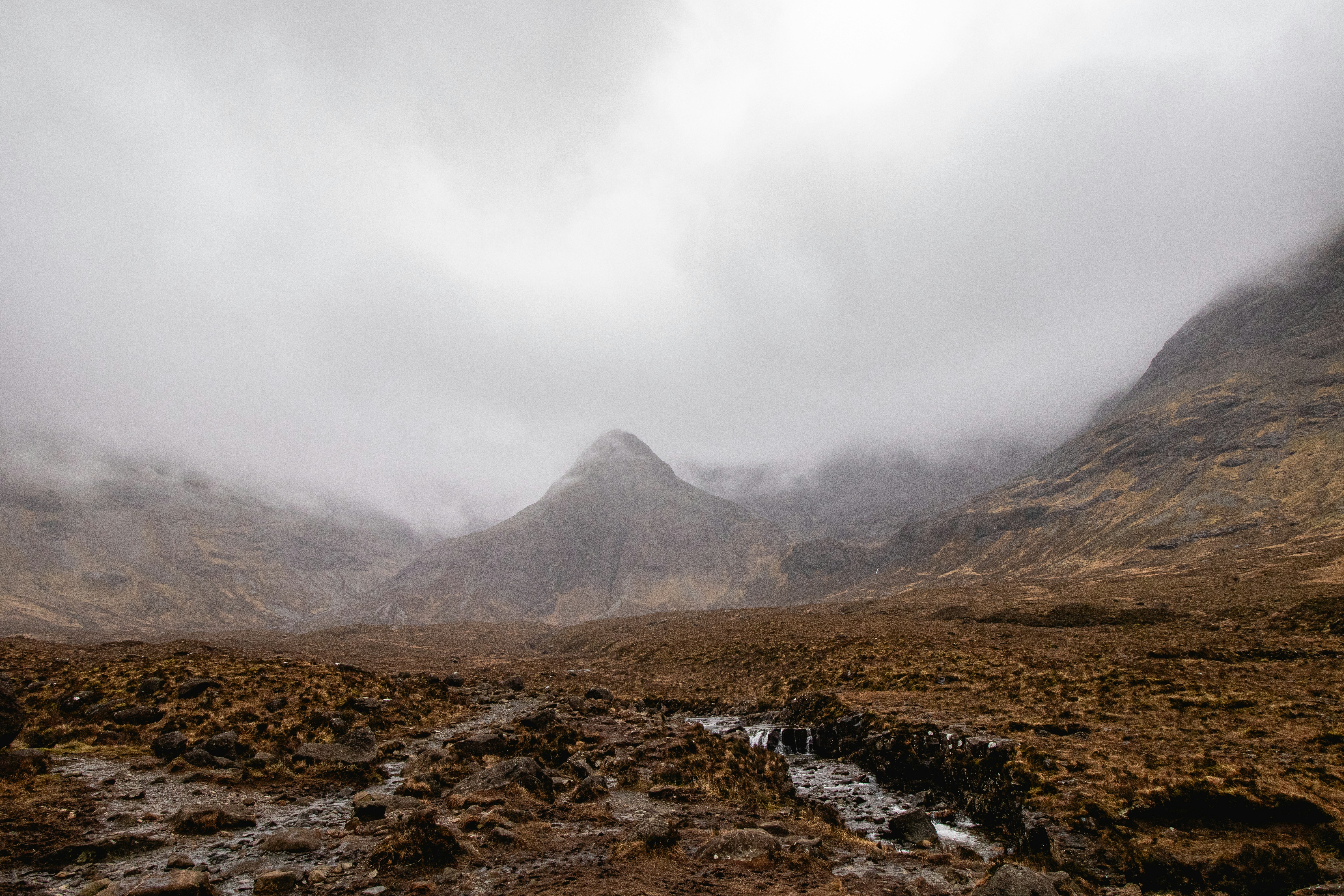 Photo by tpminettphotography