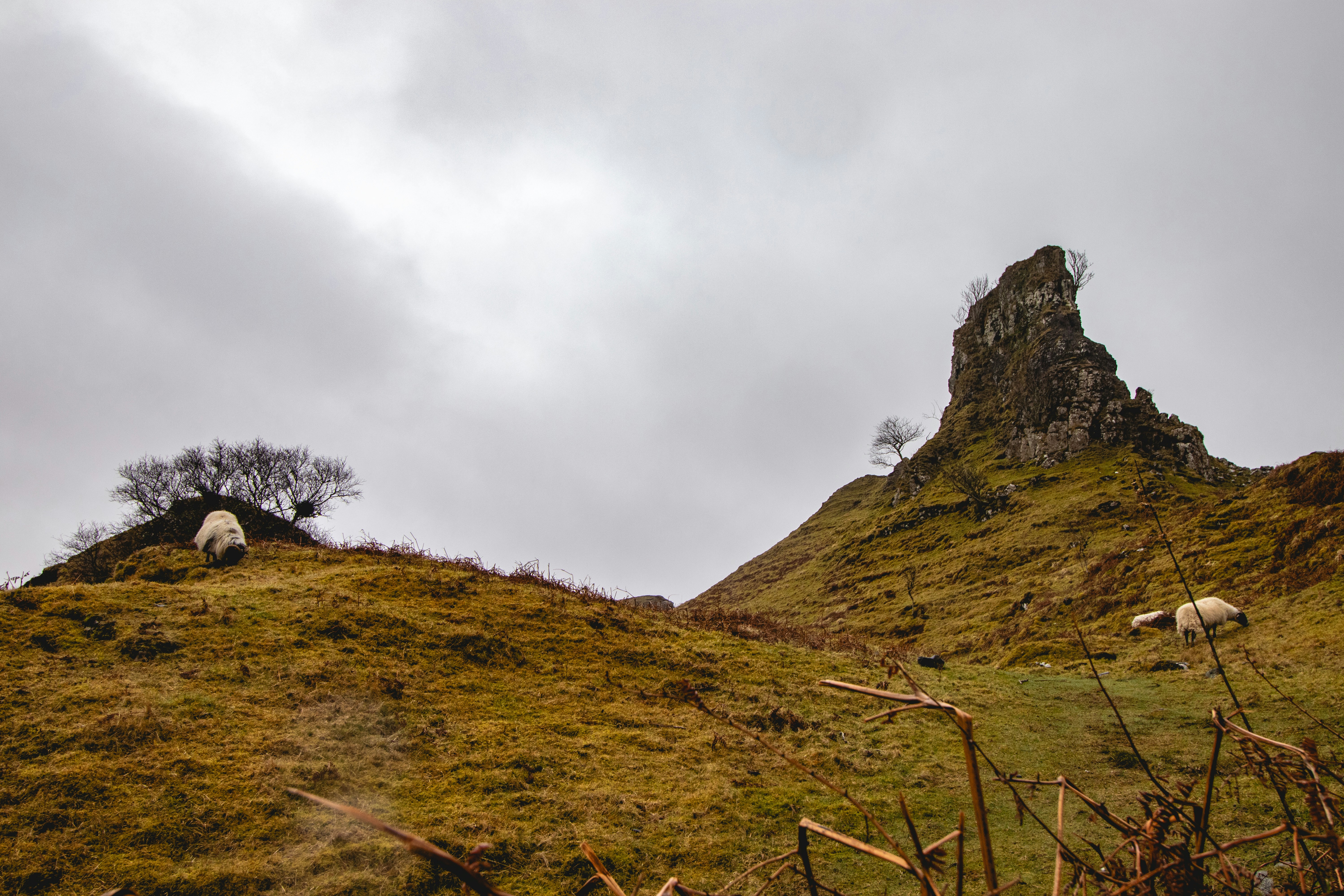 Photo by tpminettphotography