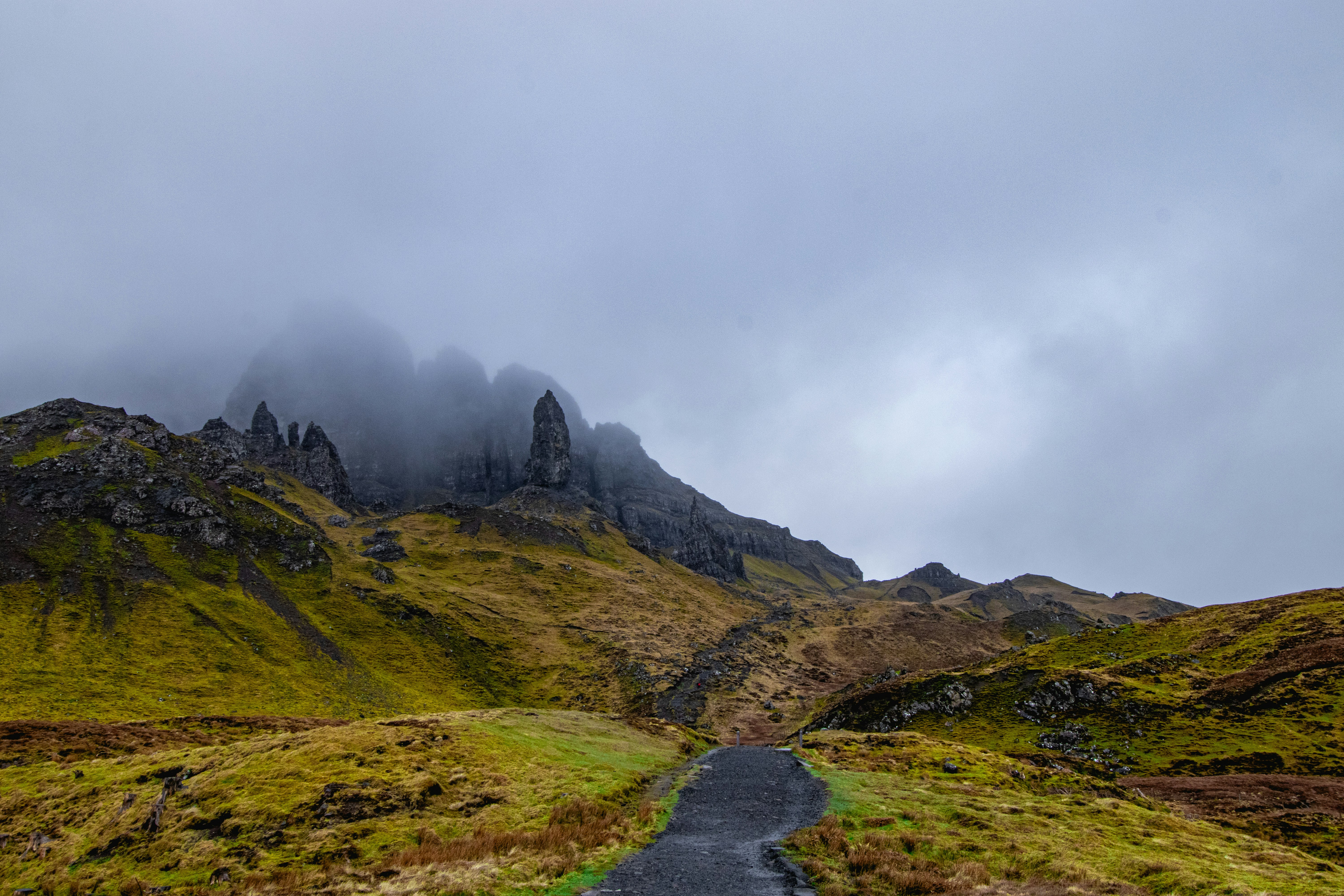 Photo by tpminettphotography