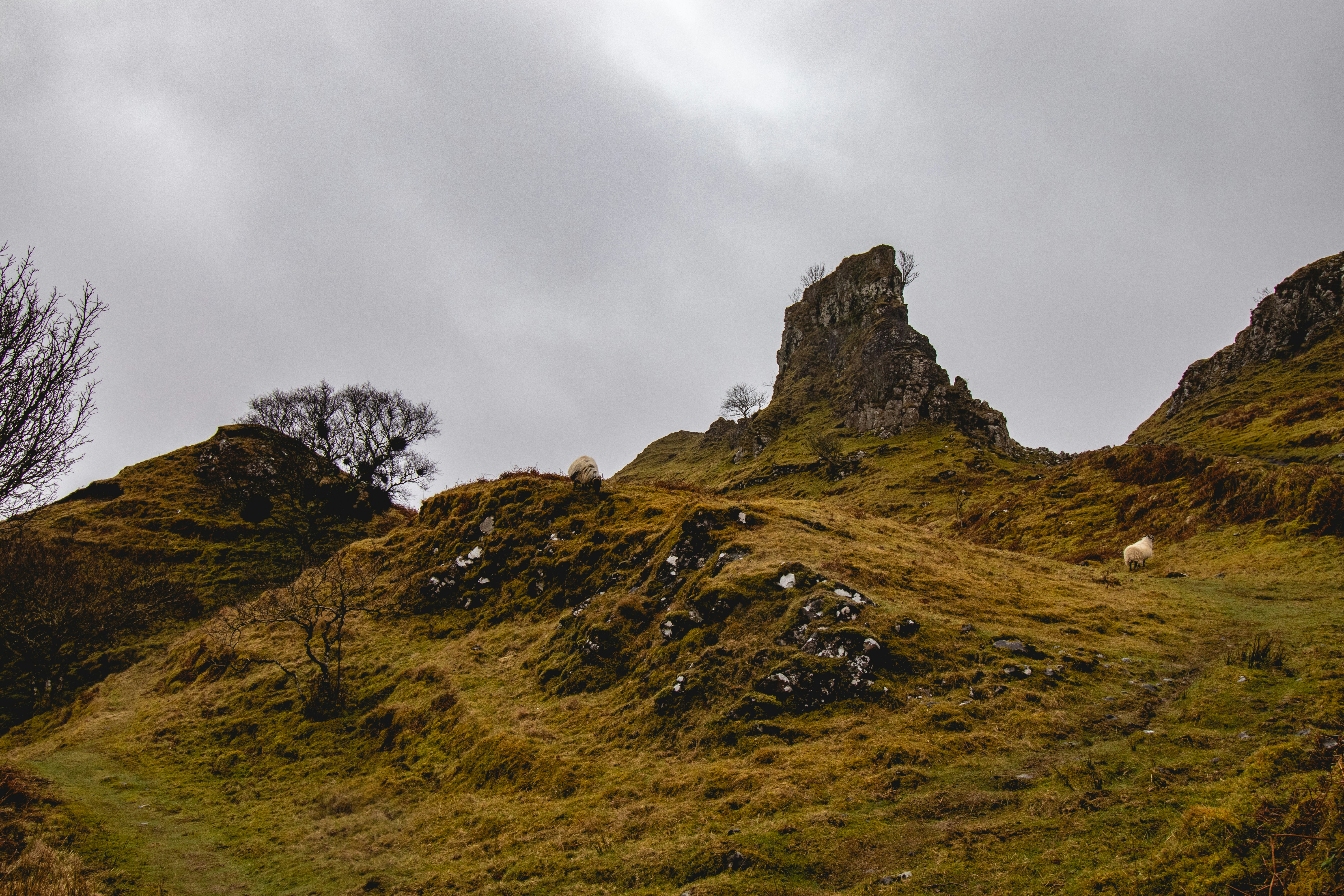 Photo by tpminettphotography