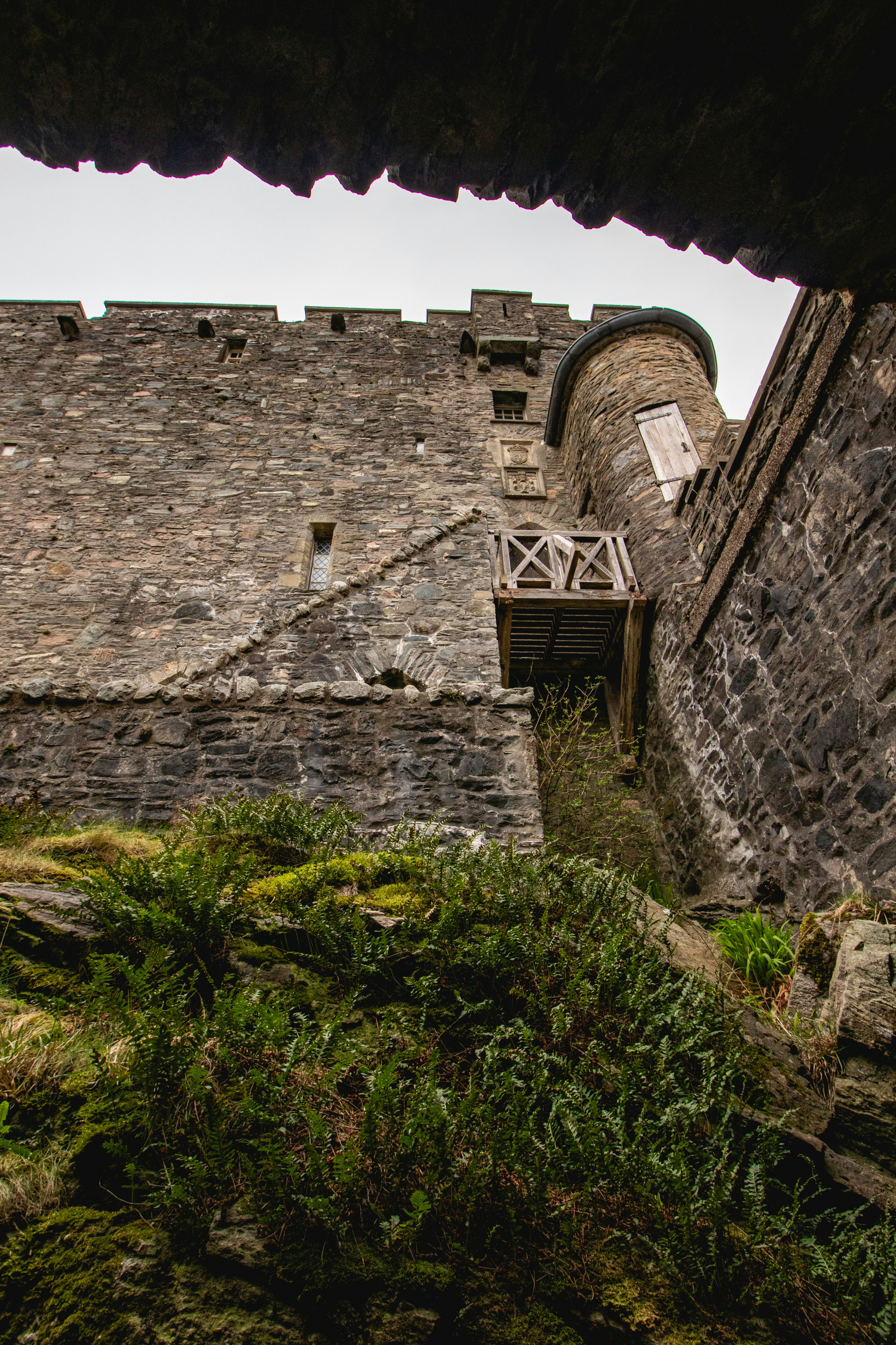 Photo by tpminettphotography