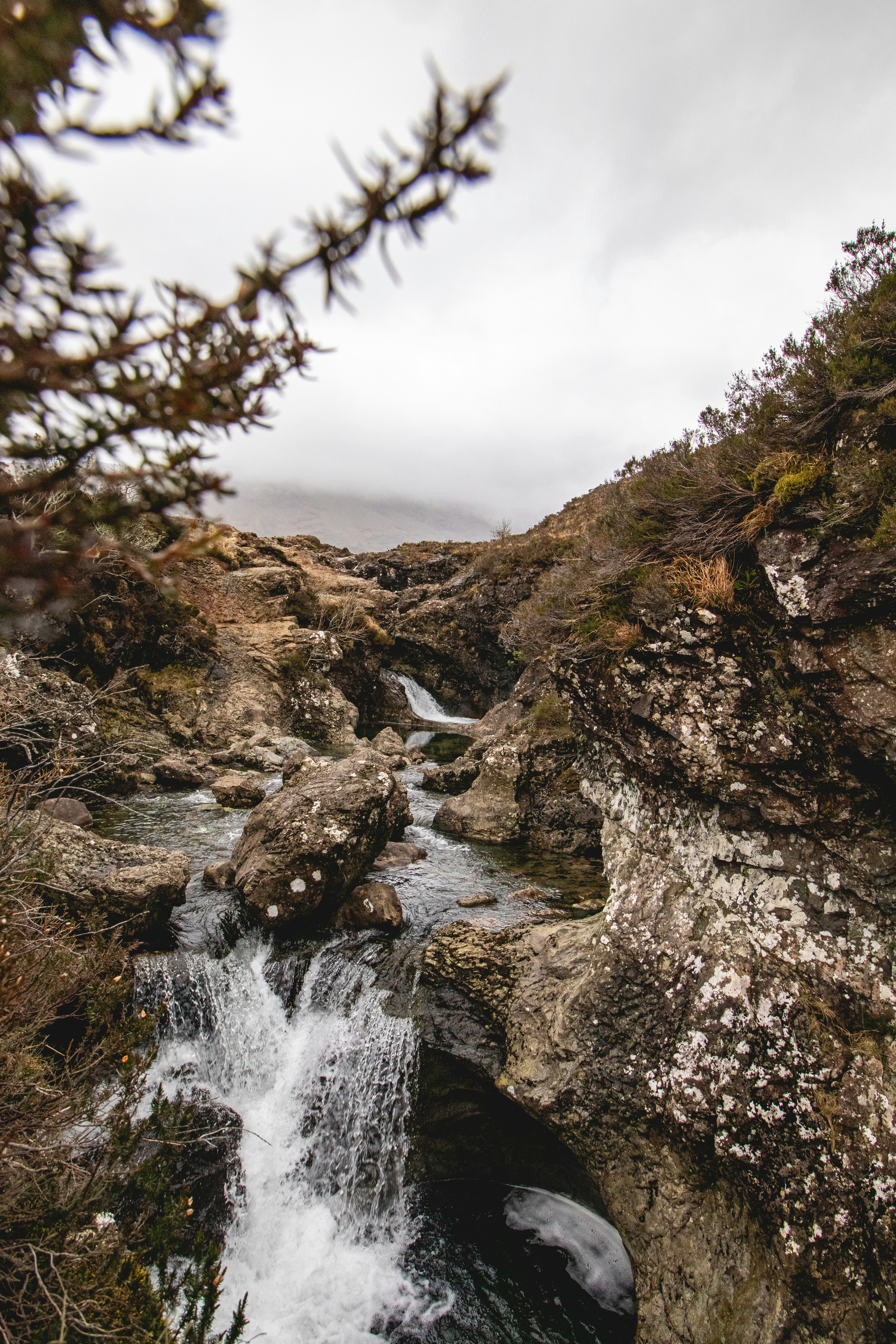 Photo by tpminettphotography