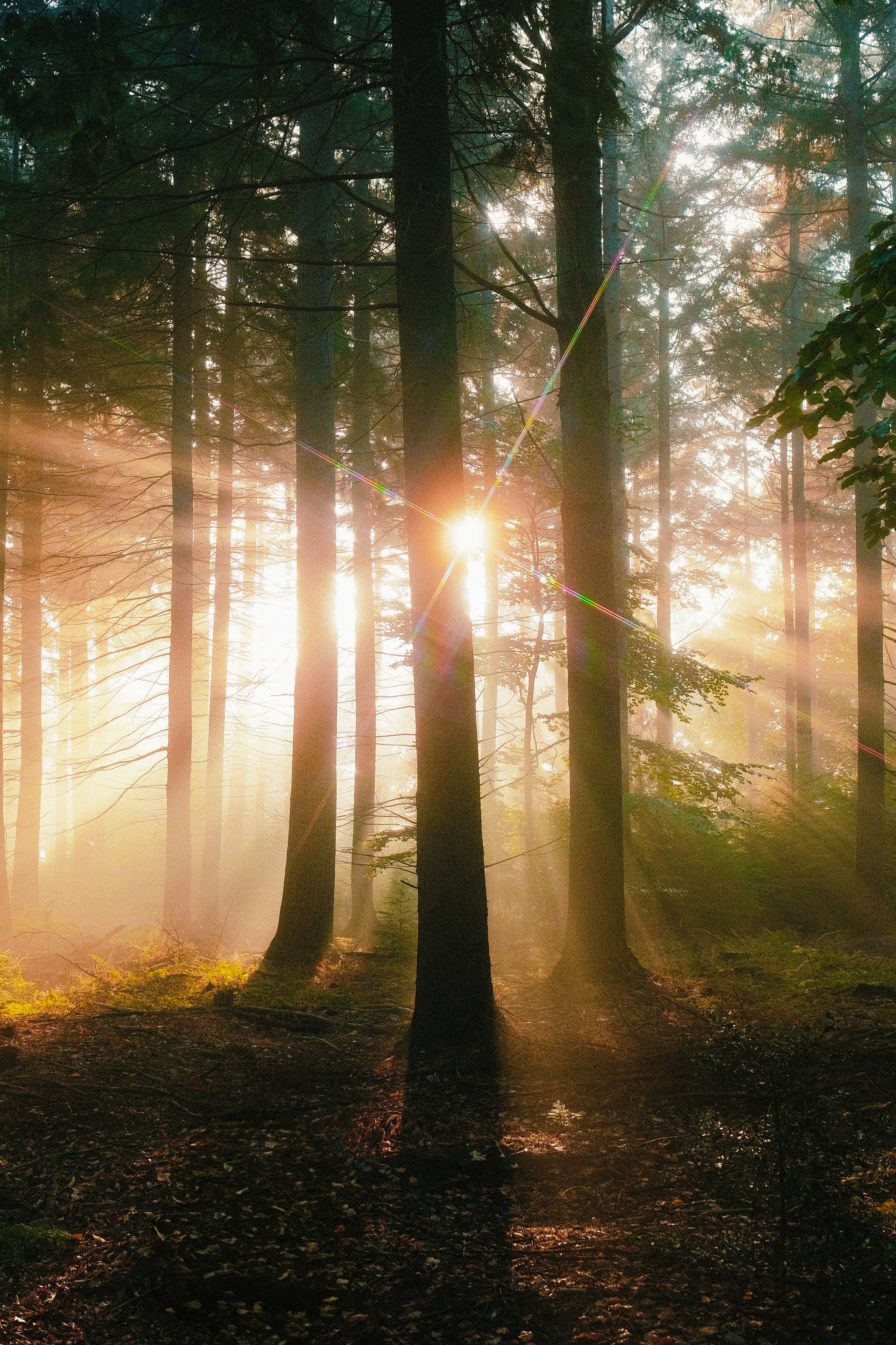 Photo by visualsbying