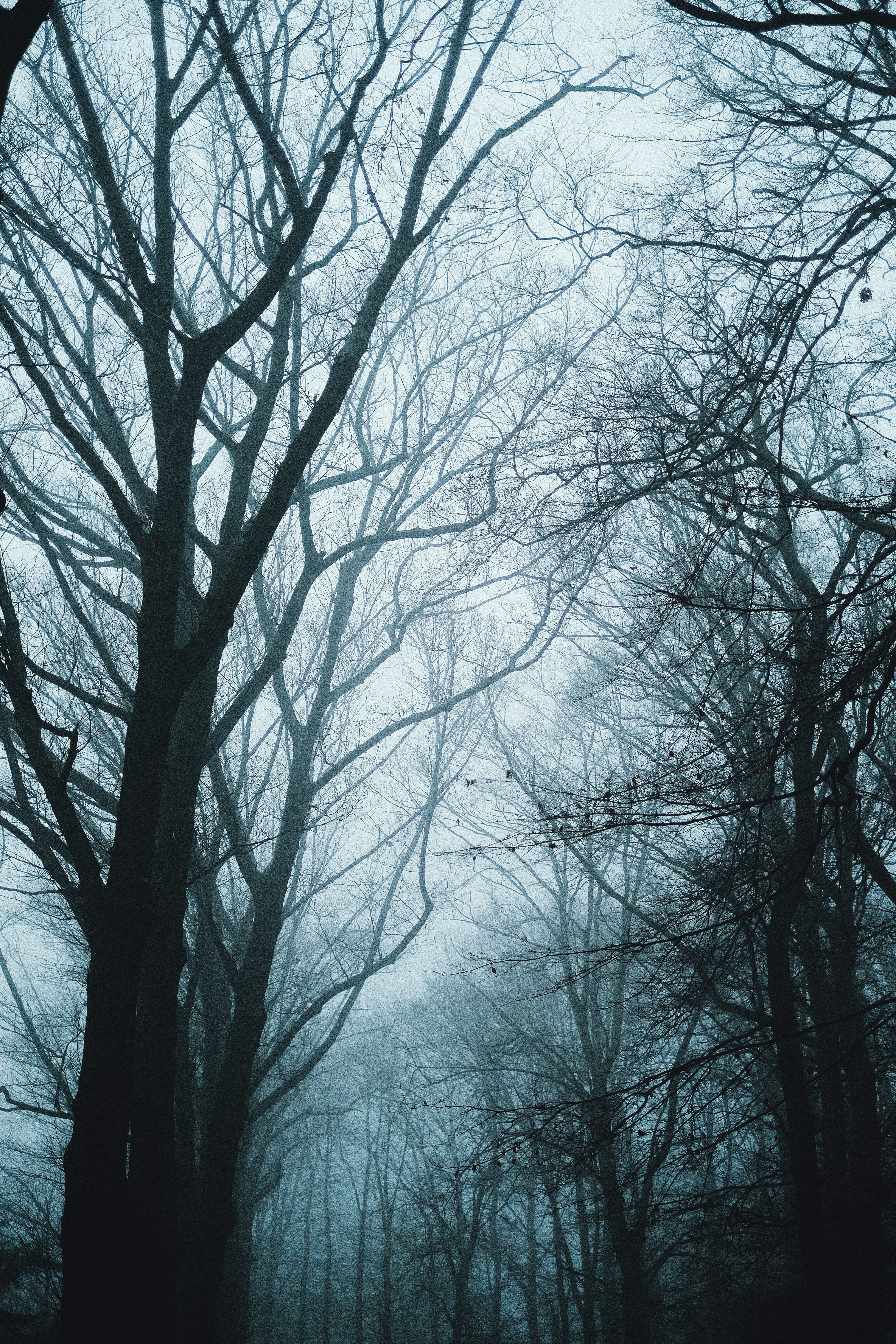 Photo by visualsbying