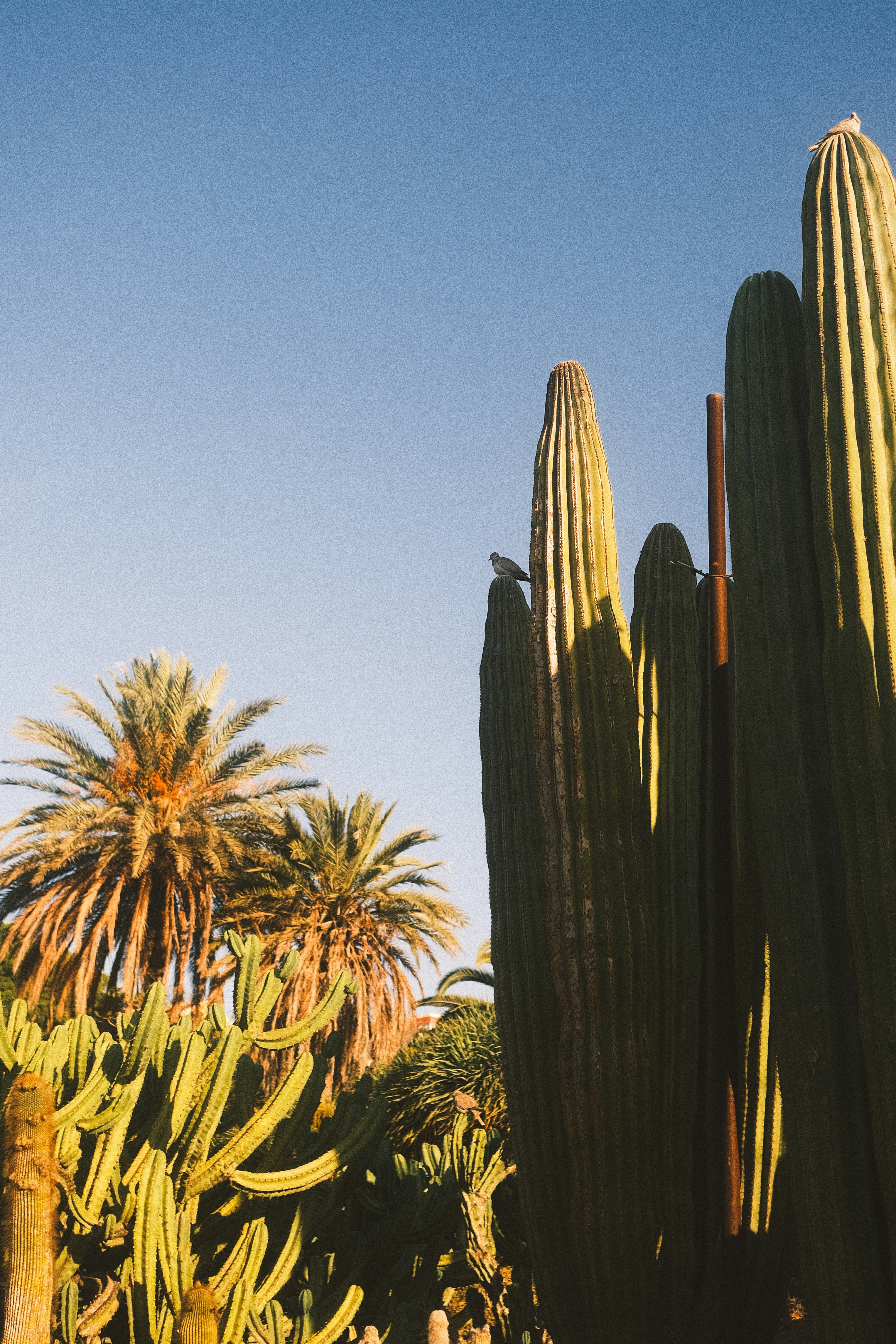 Photo by visualsbying