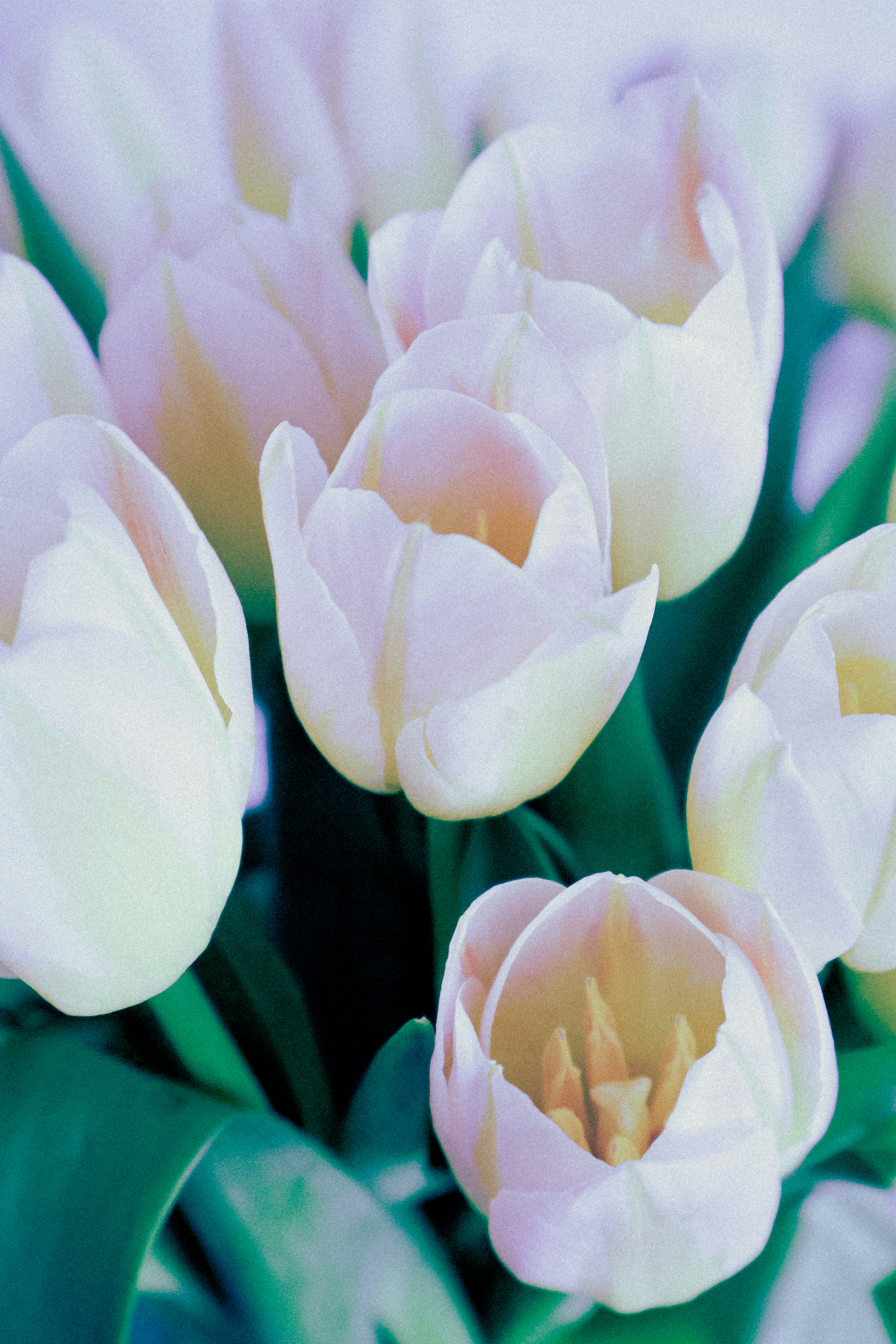 Photo by katekasiutich