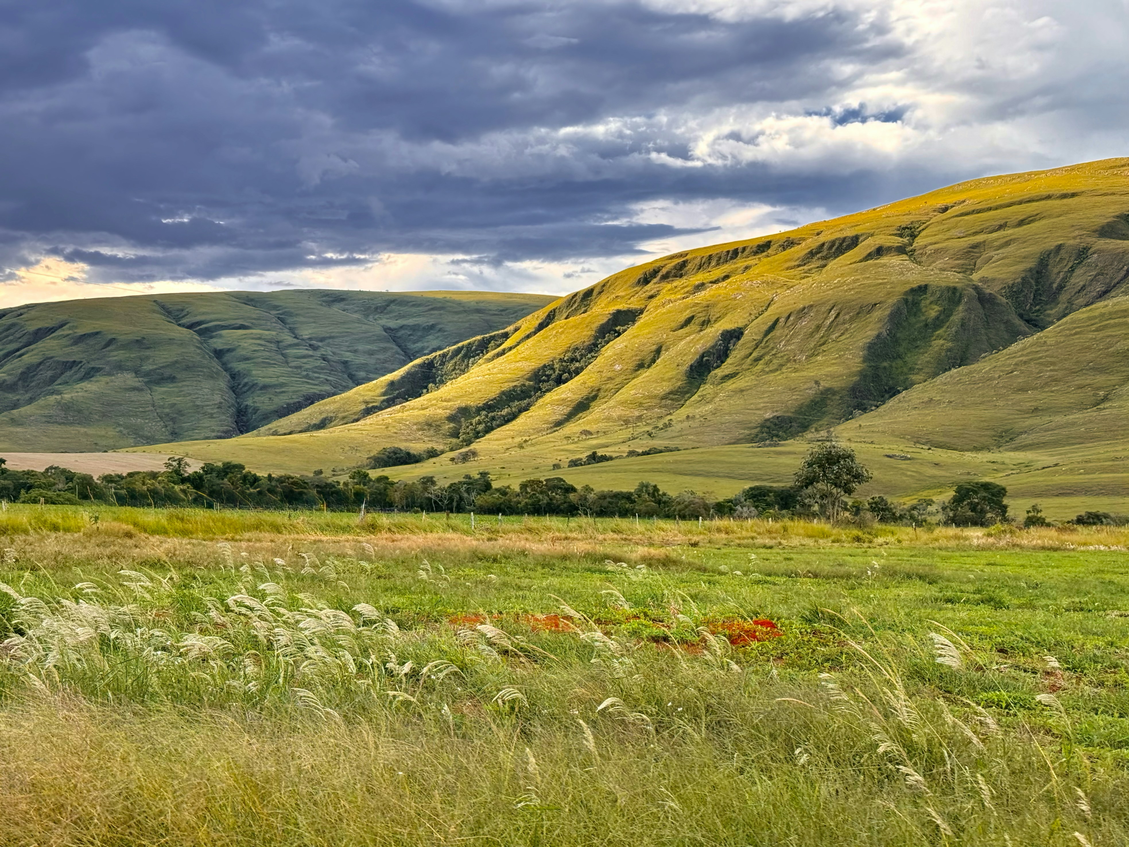 Photo by 7henrique1993