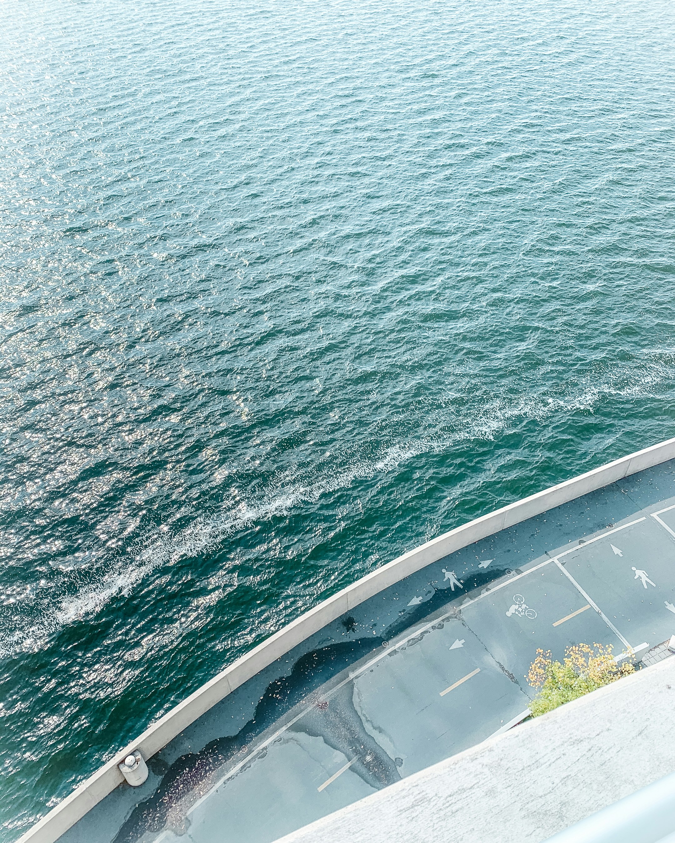 Photo by muscateer777