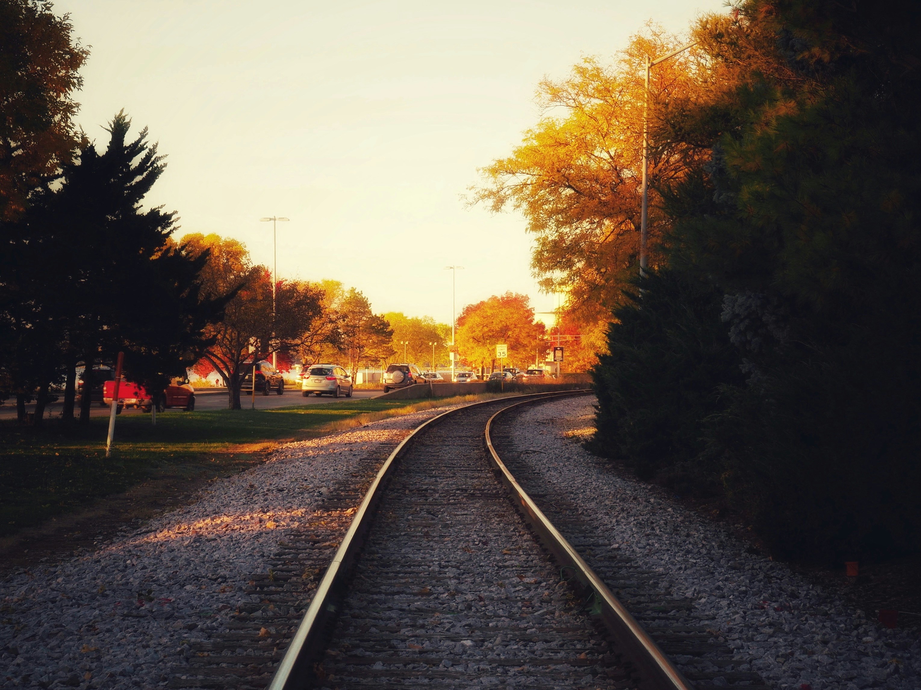 Photo by muscateer777