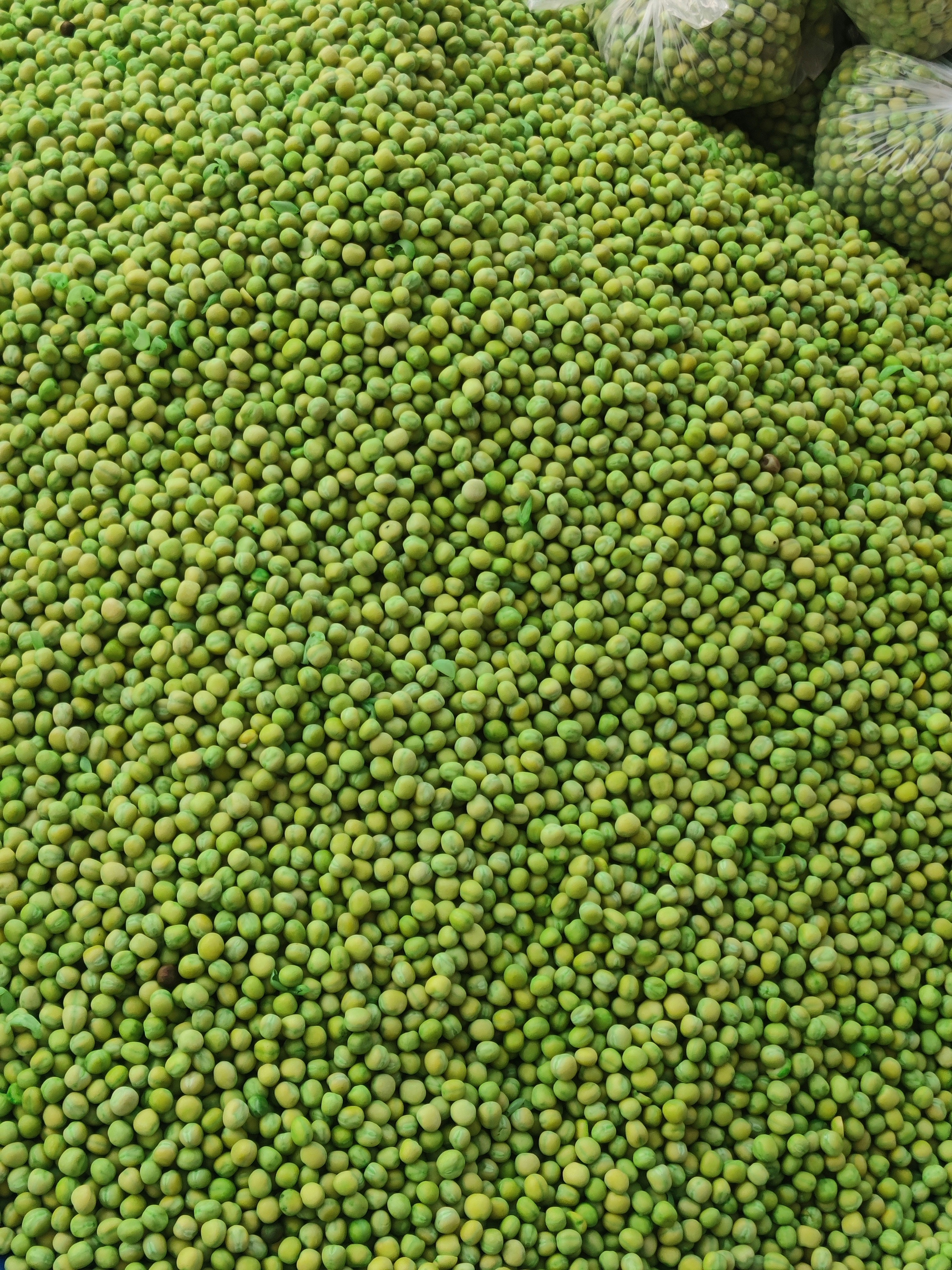 Photo by siam_rahman