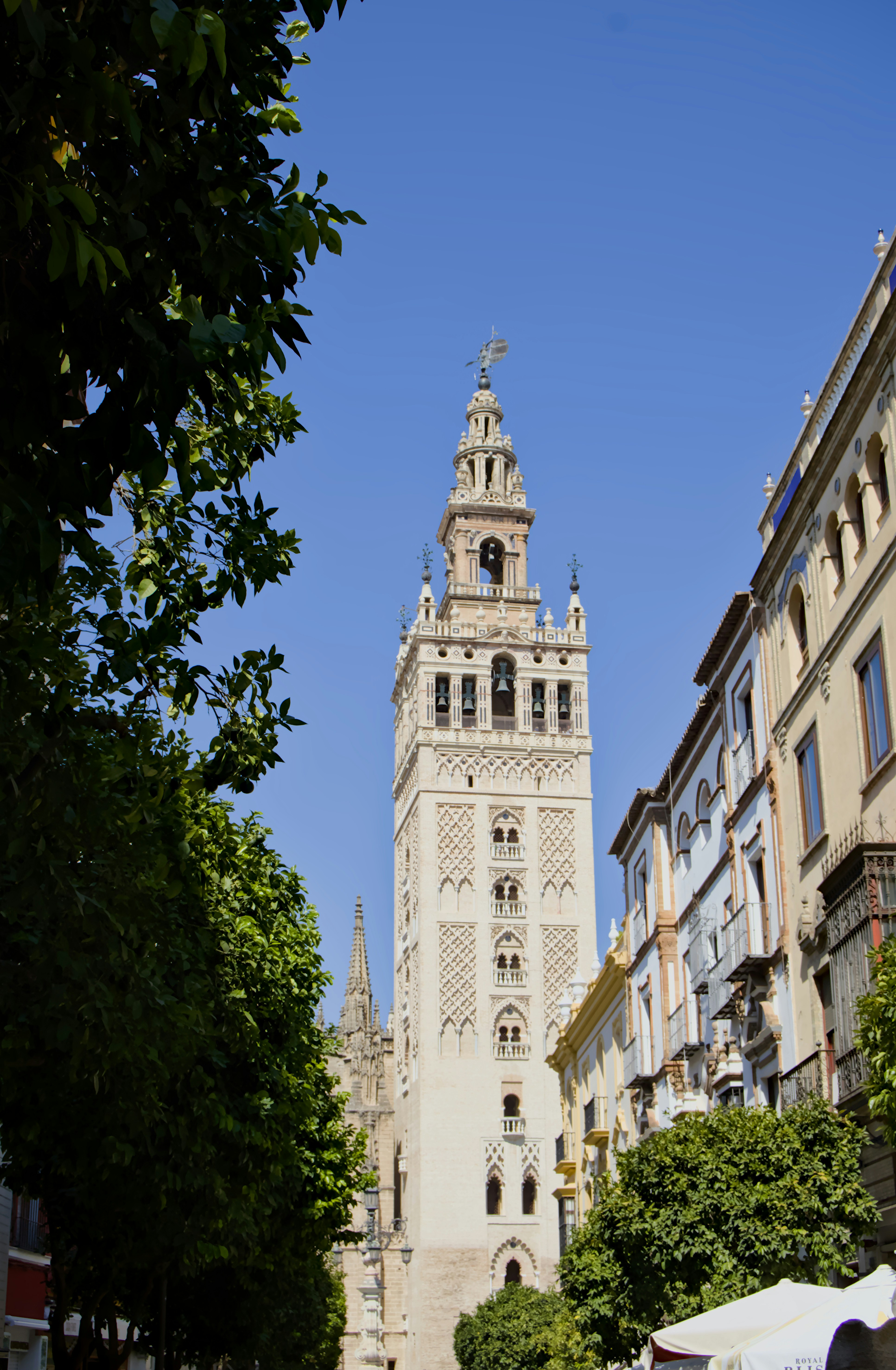 Photo by carbonmonoxide