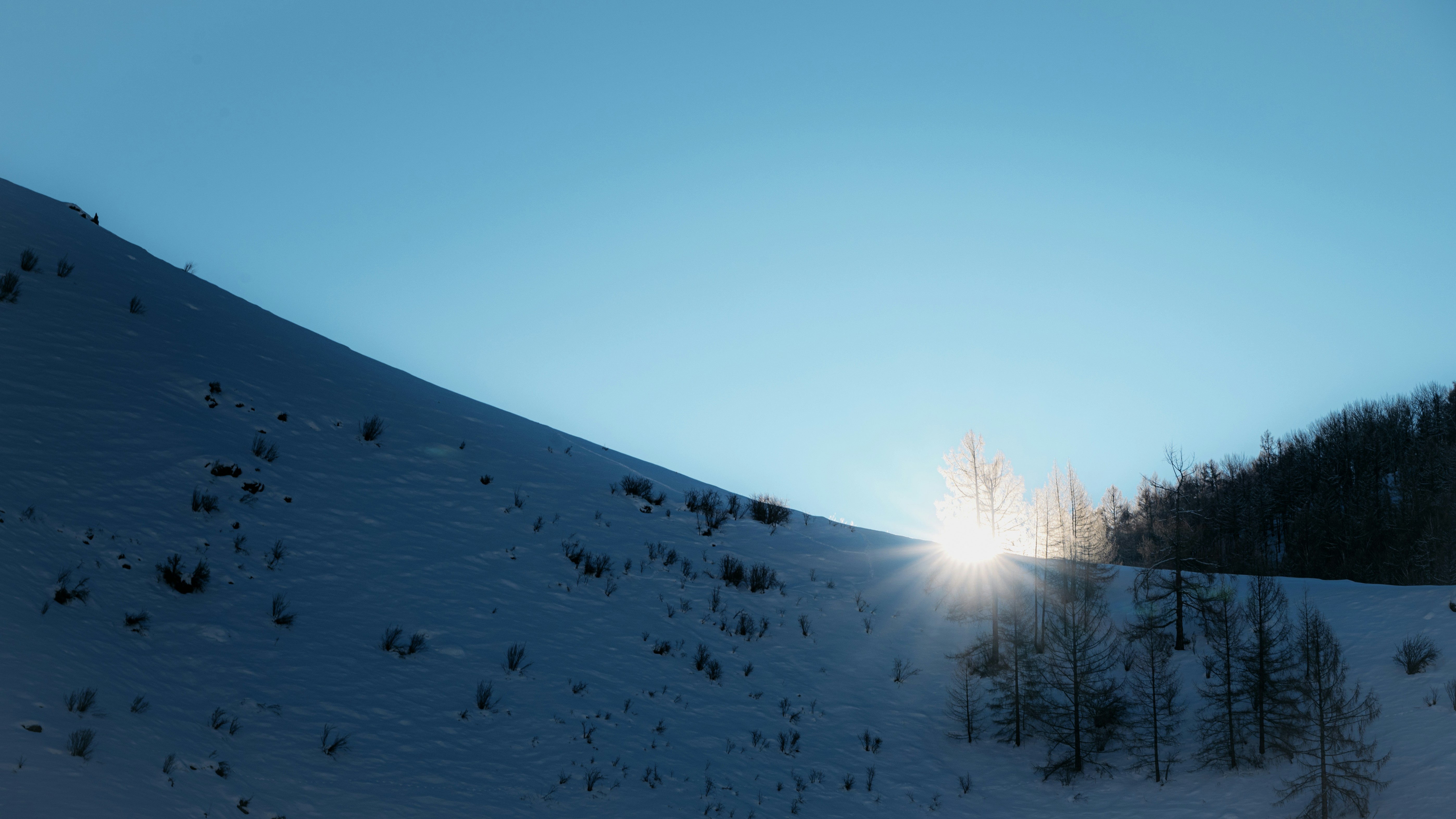 雪の降る朝の赤 SNOW - OSAMU YOKONAMI - PHOTOGRAPHER｜横浪修オフィシャルサイト