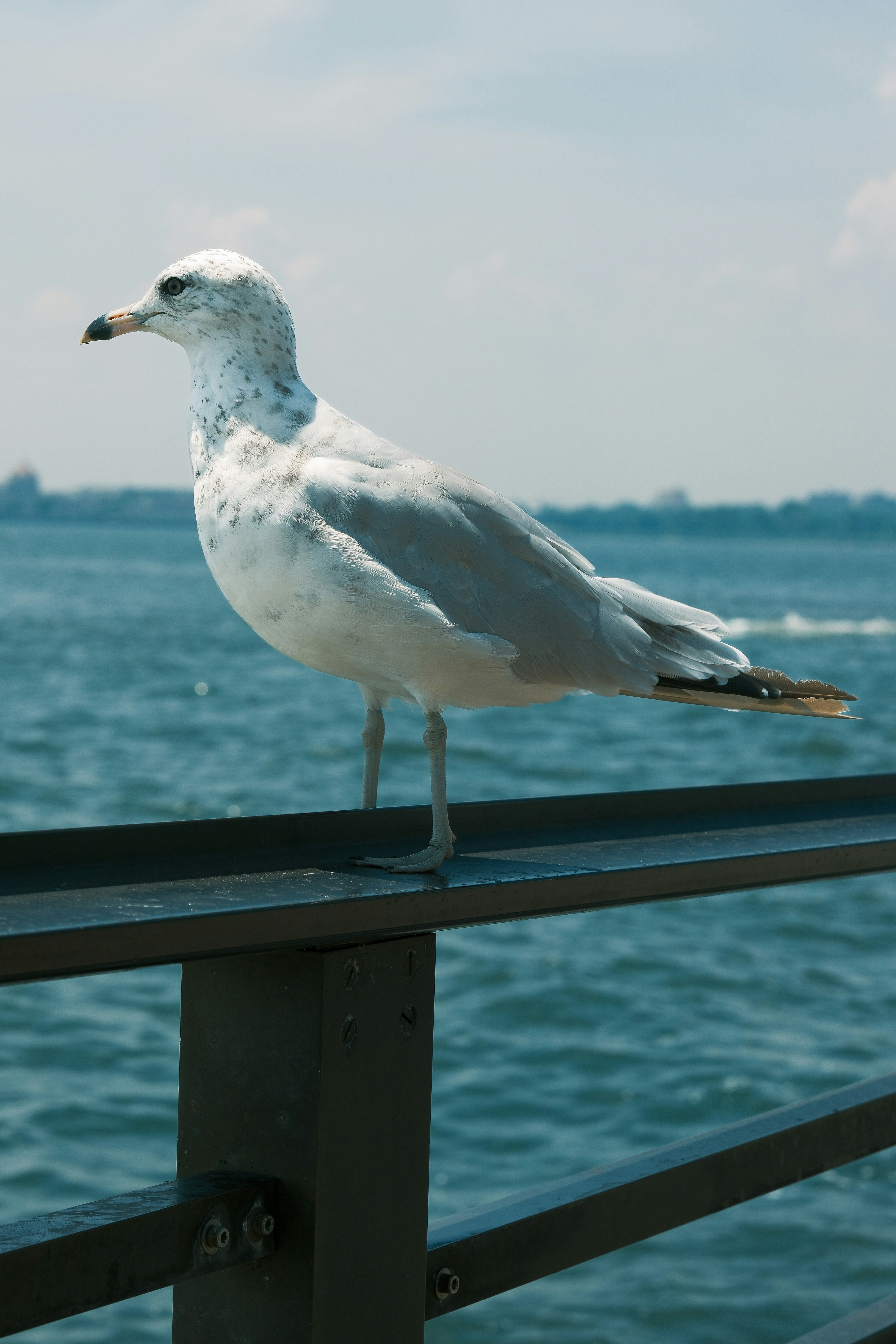 Photo by justalifein