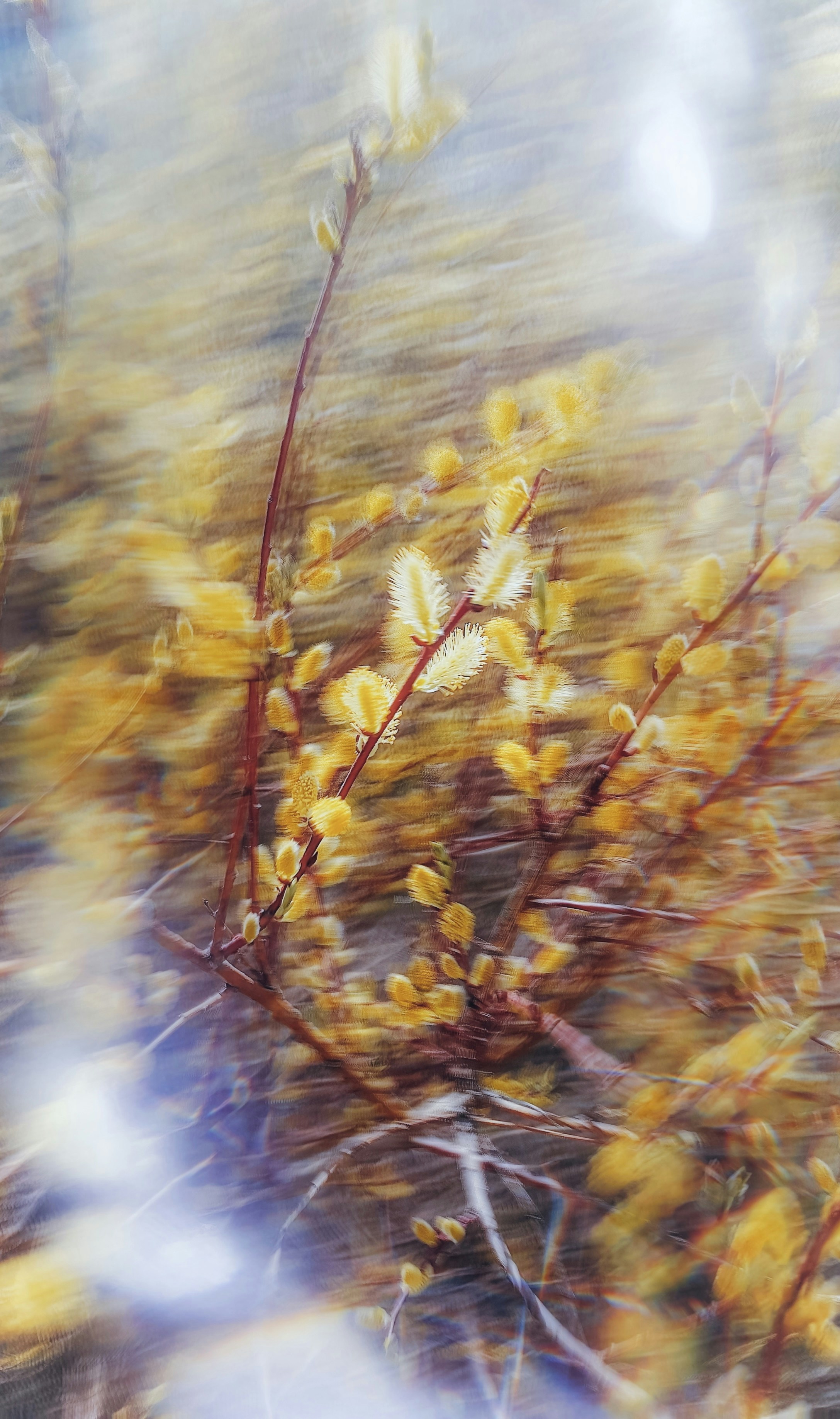 Photo by eugene_golovesov