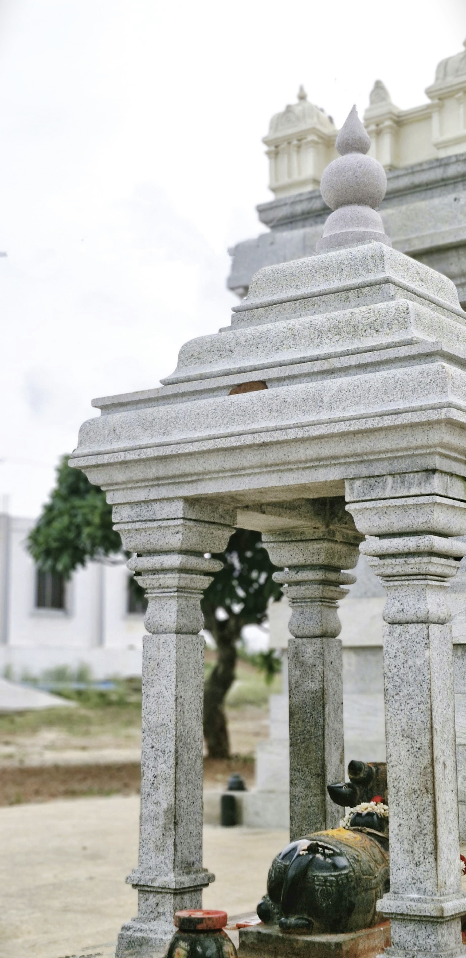 Photo by harininethra