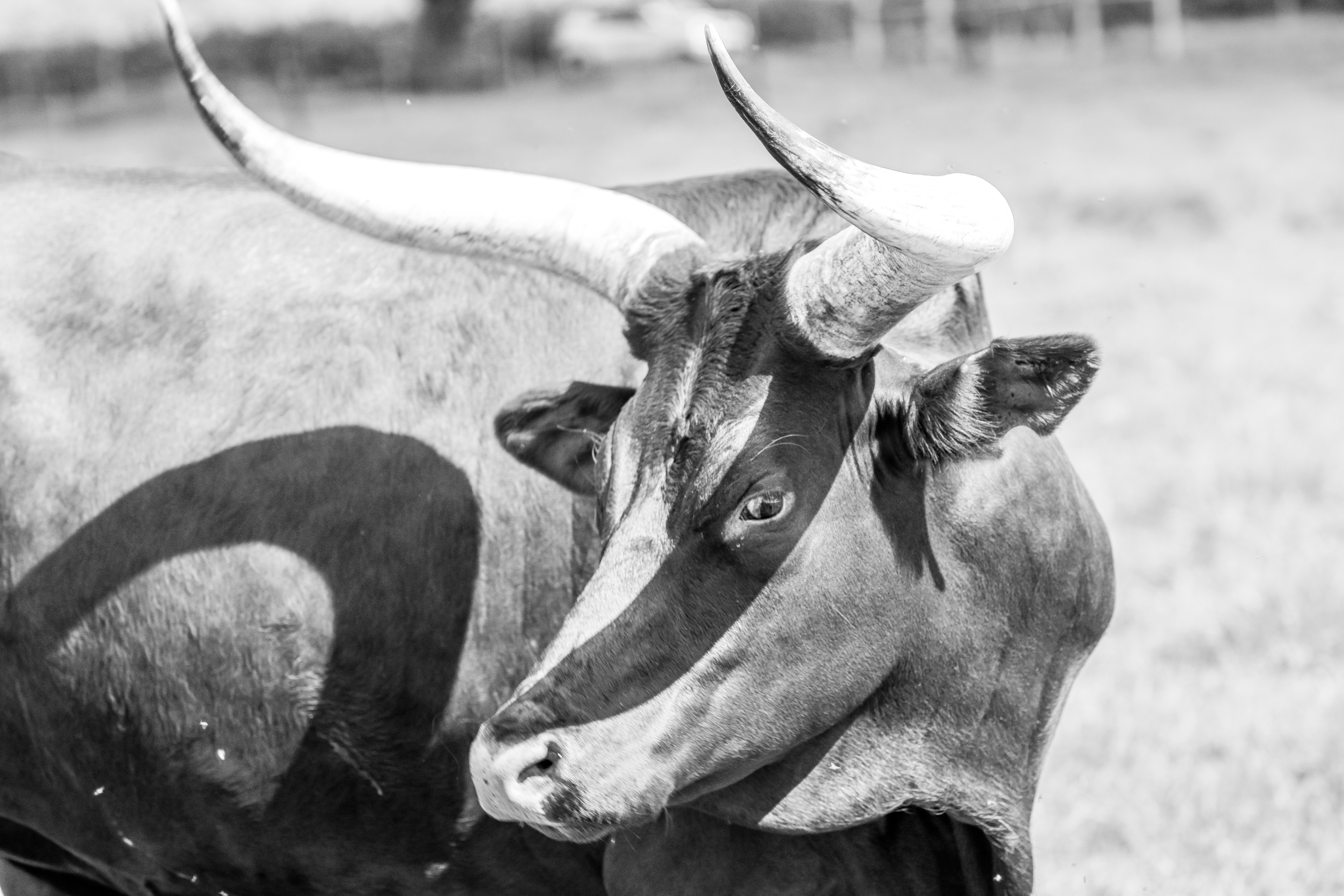 Photo by amandaswanepoel