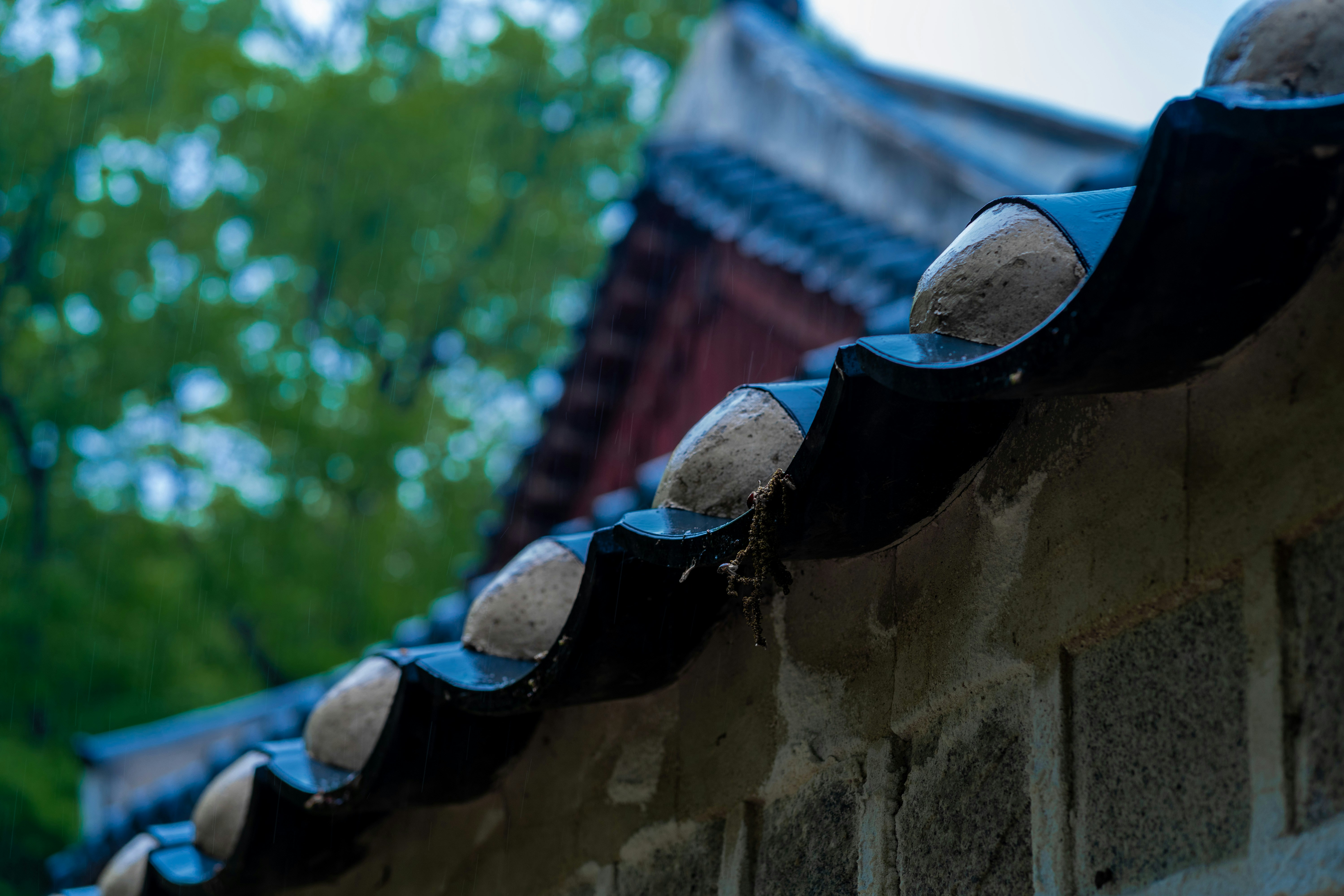 Photo by nunnunannalala