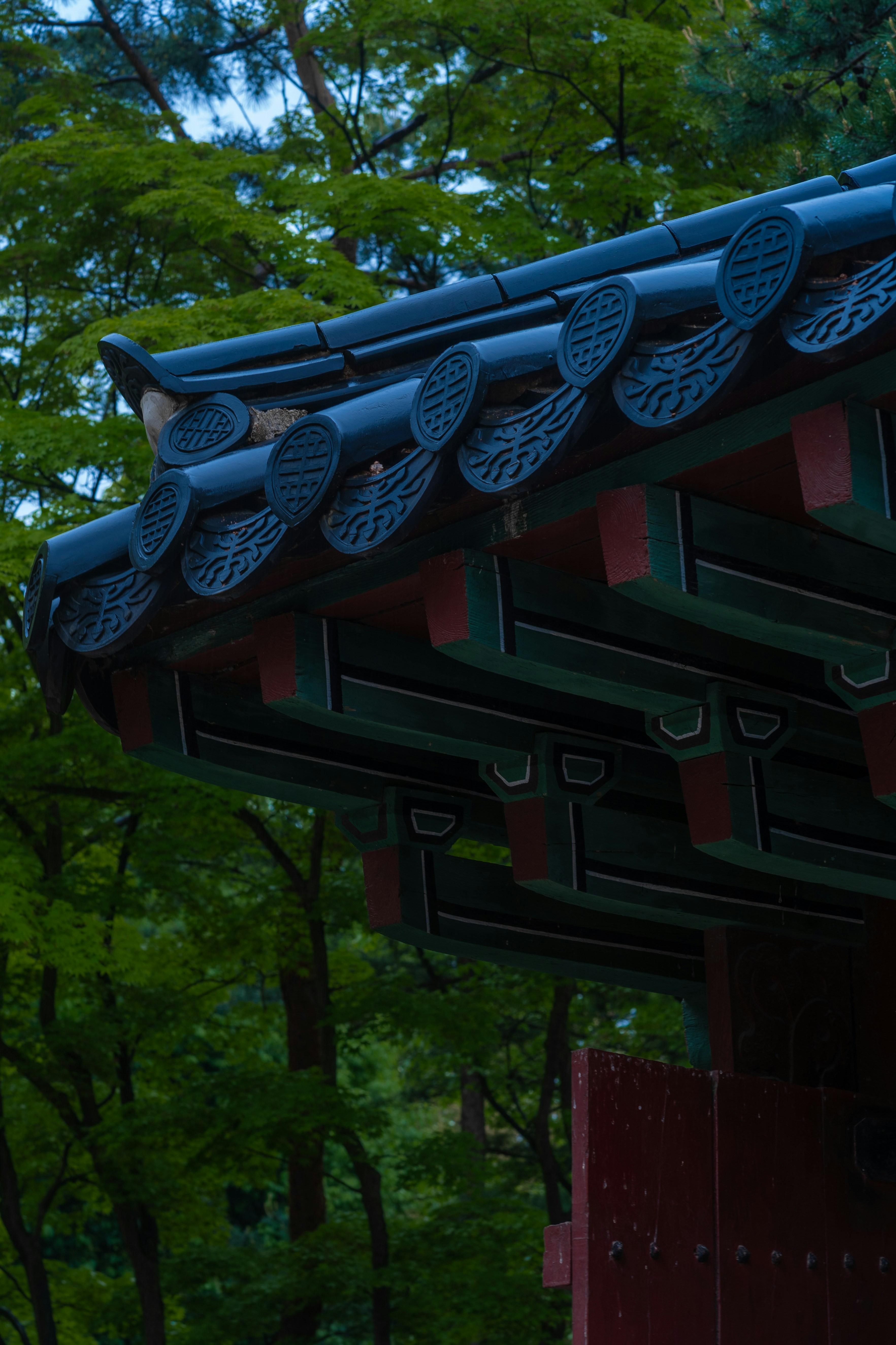 Photo by nunnunannalala