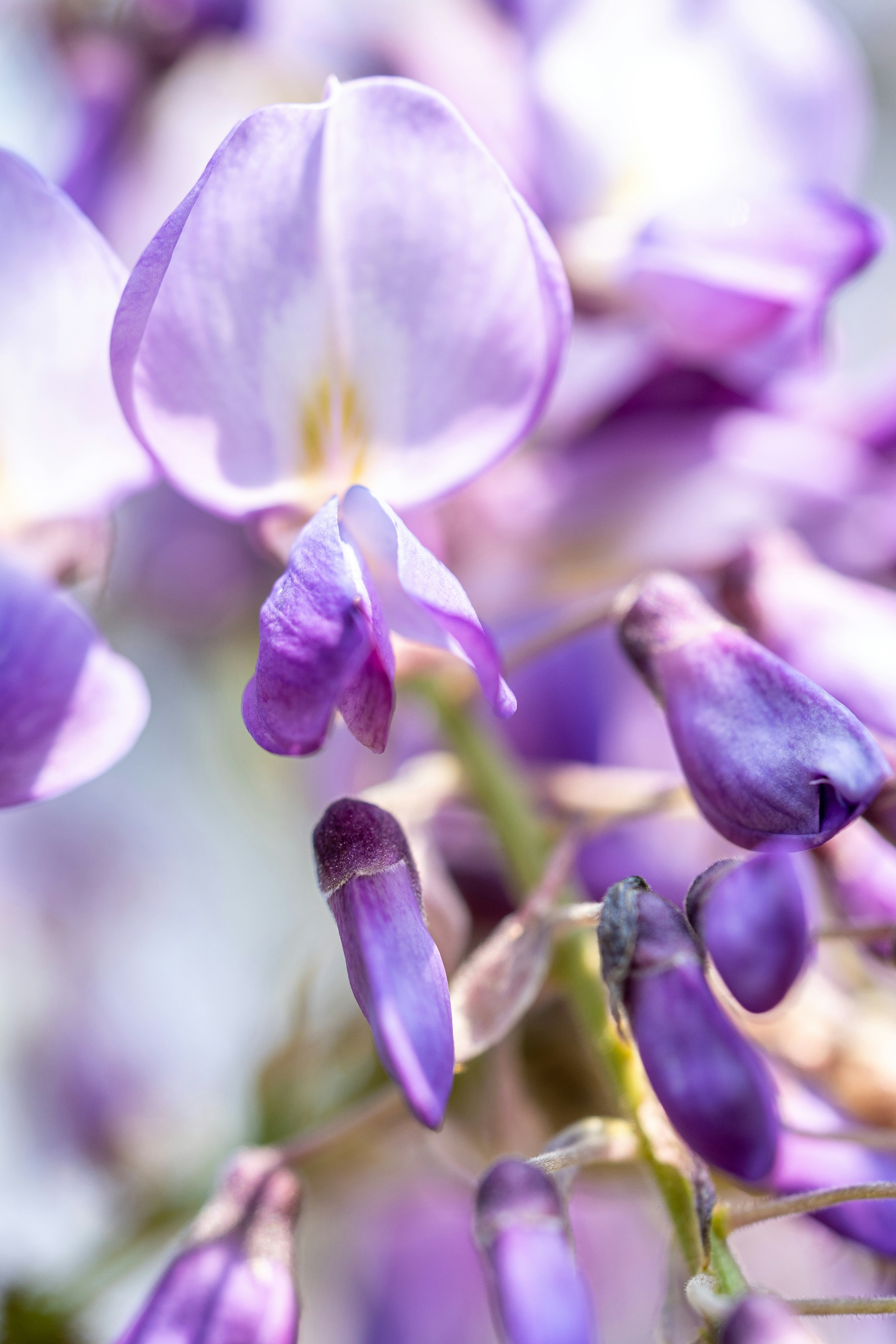 Photo by winstonchen