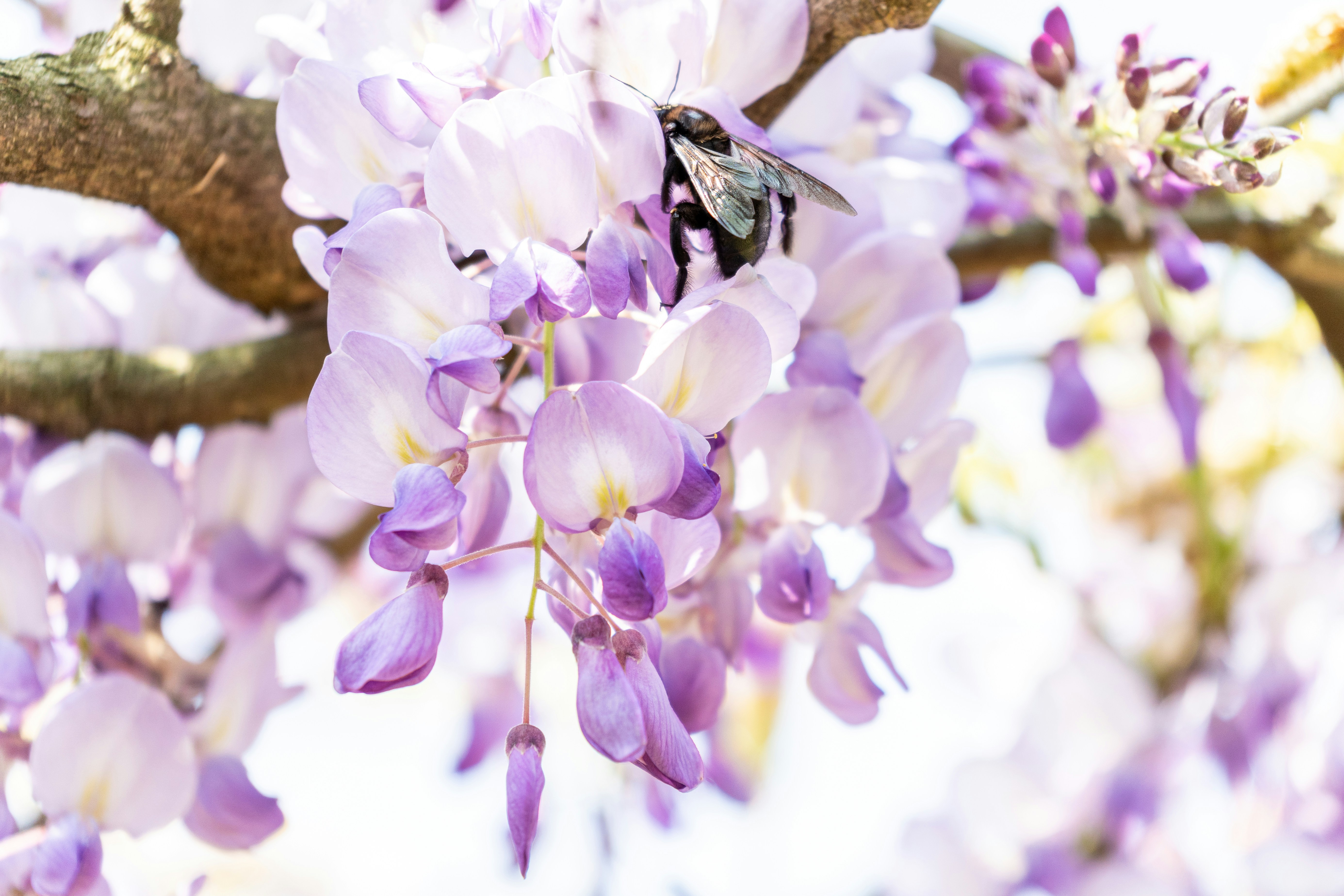 Photo by winstonchen