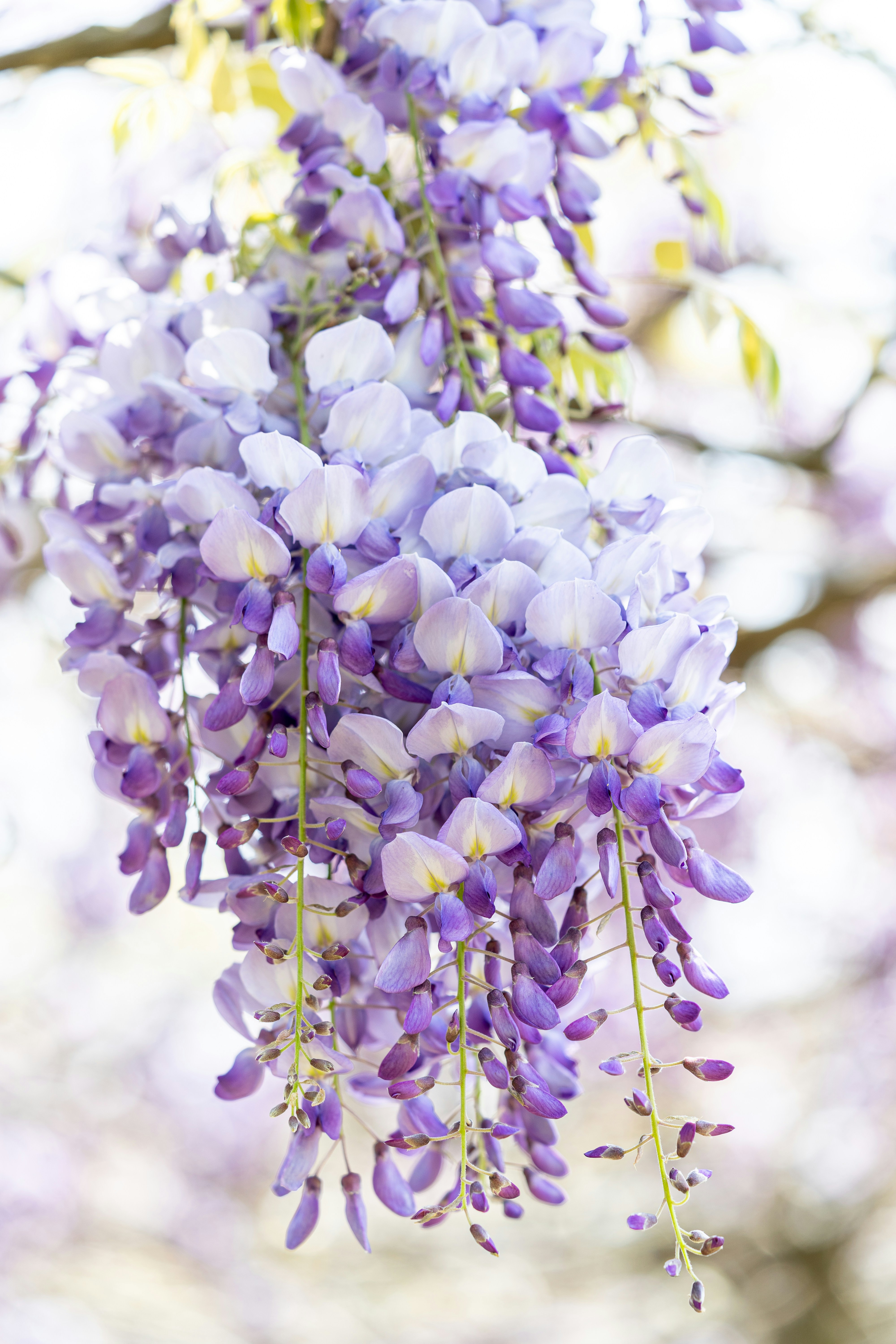 Photo by winstonchen