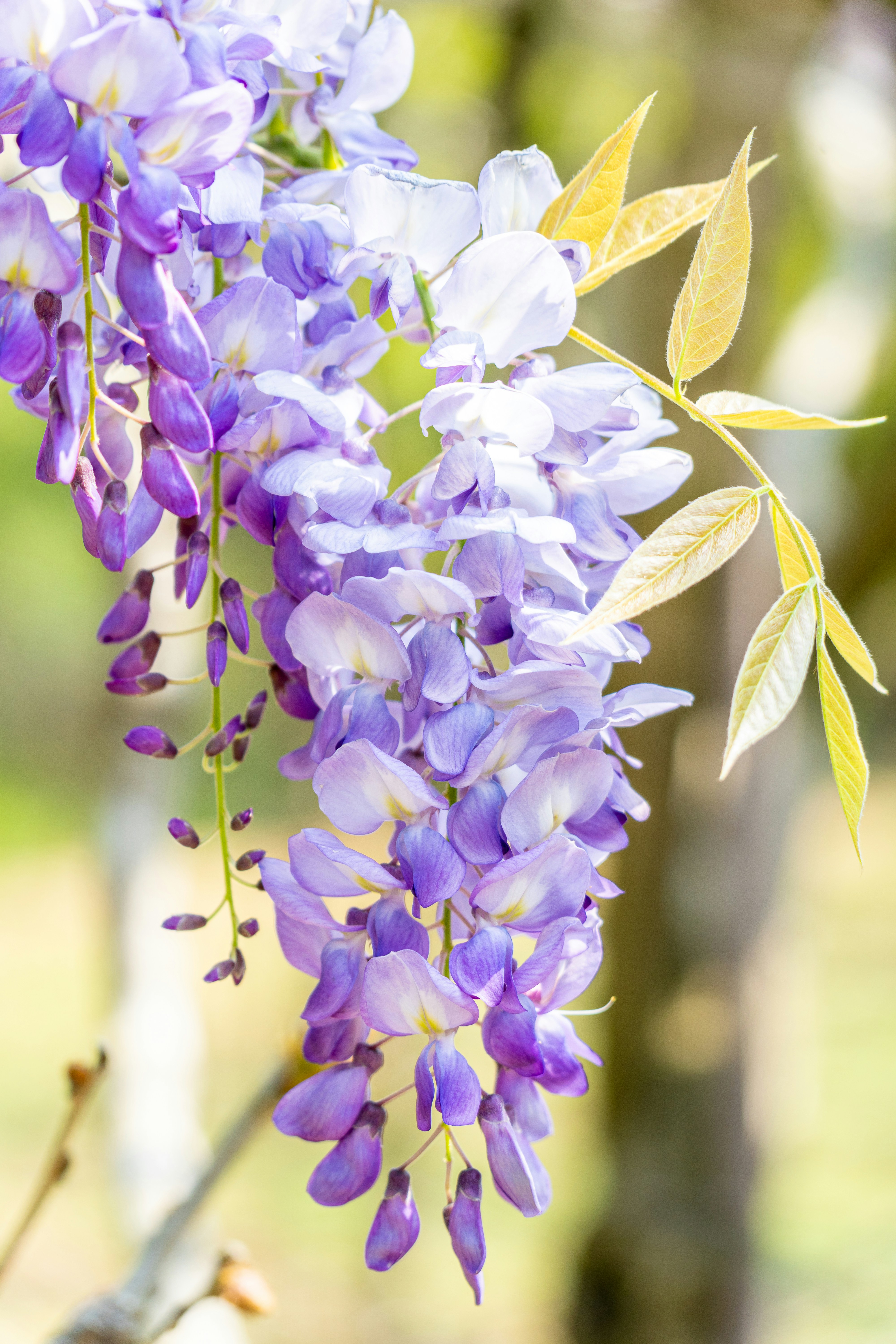 Photo by winstonchen