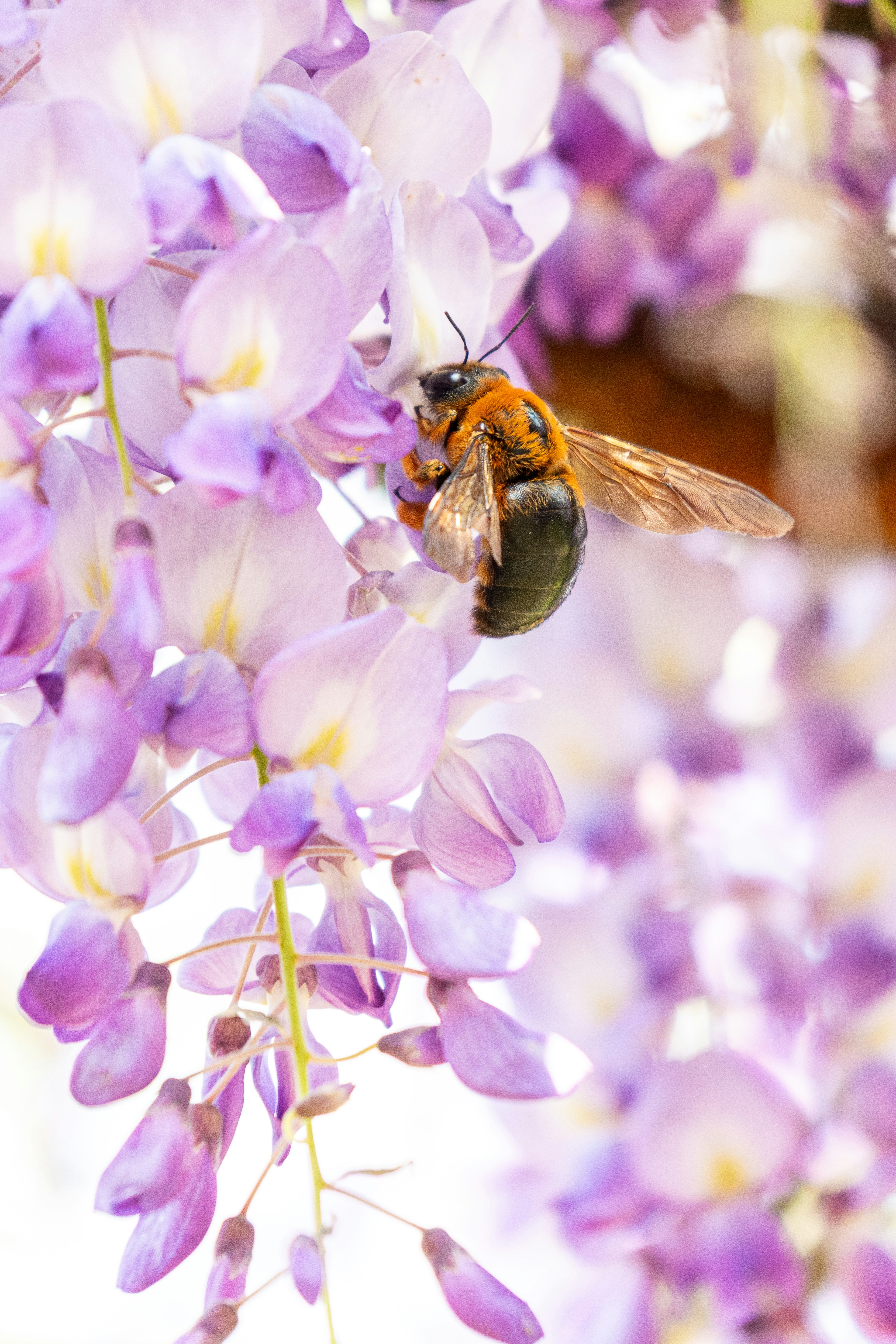 Photo by winstonchen