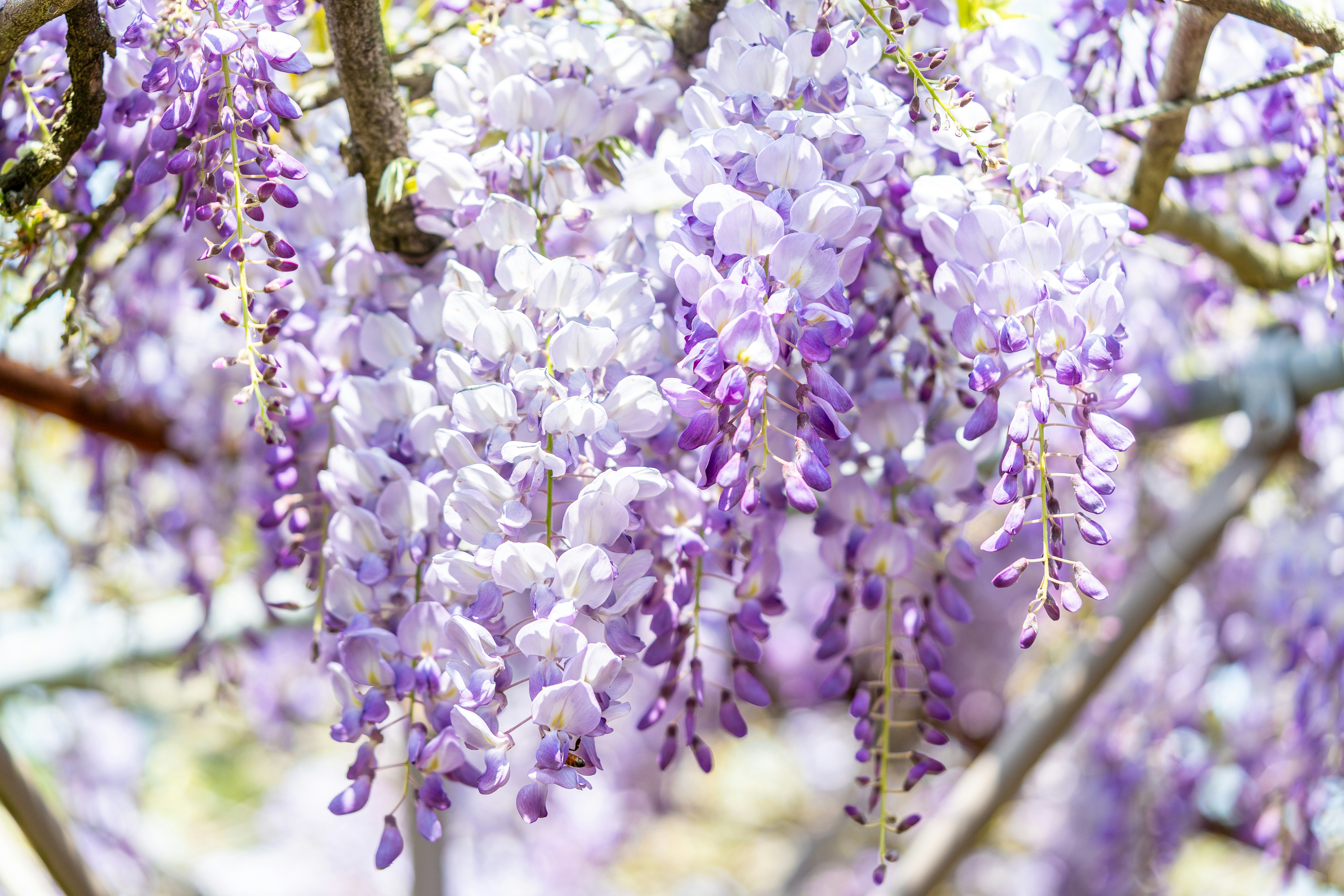 Photo by winstonchen