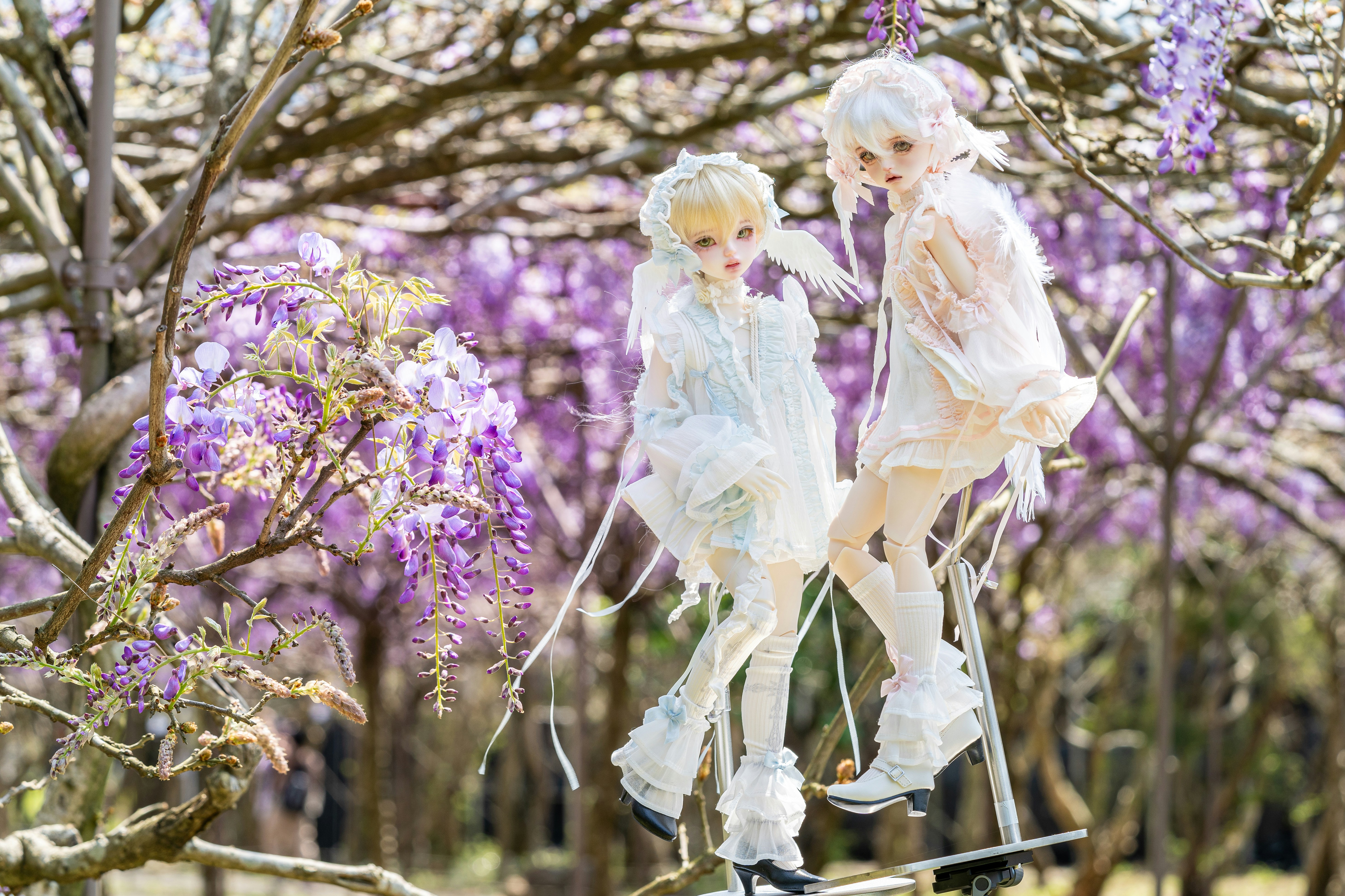 Photo by winstonchen