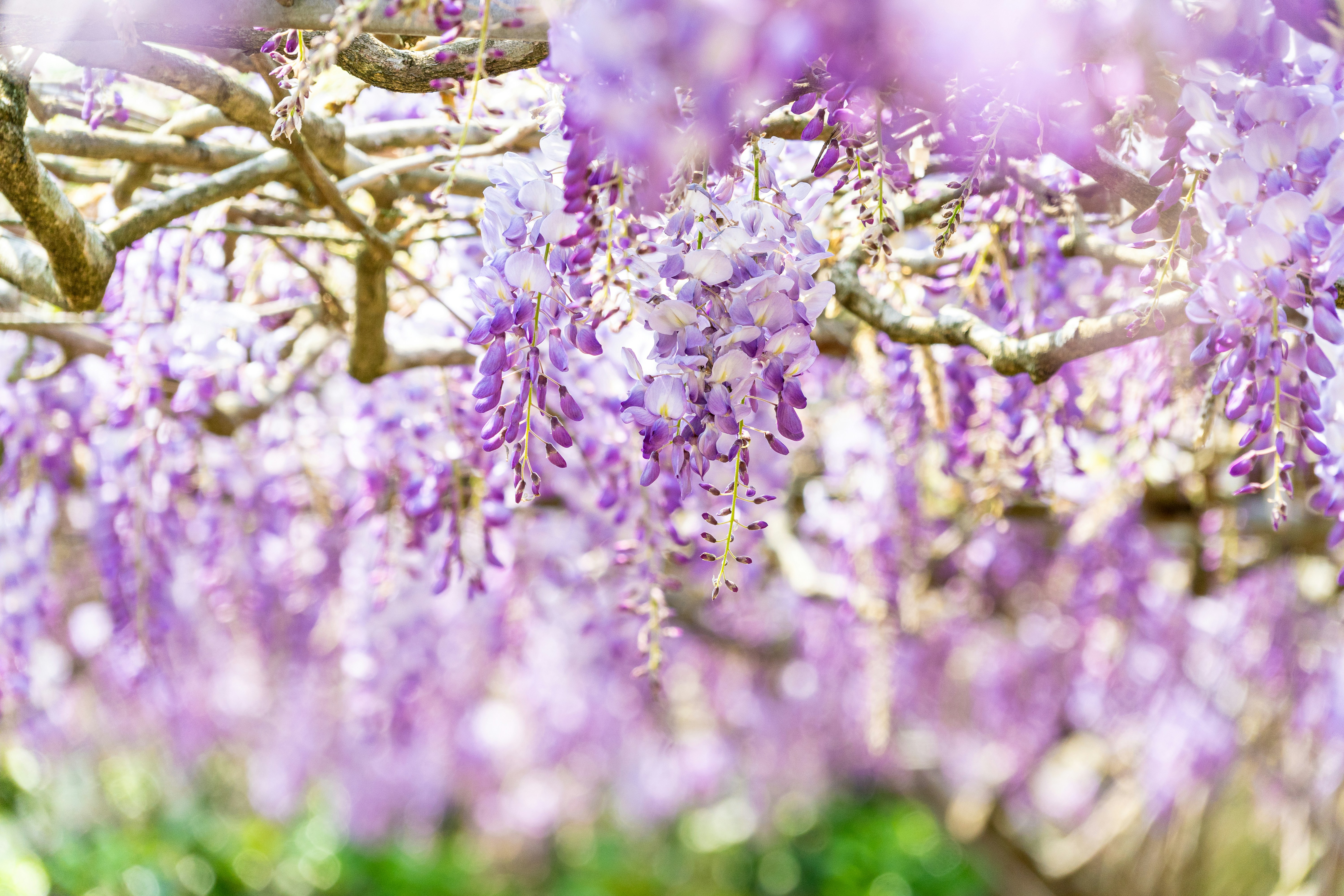 Photo by winstonchen