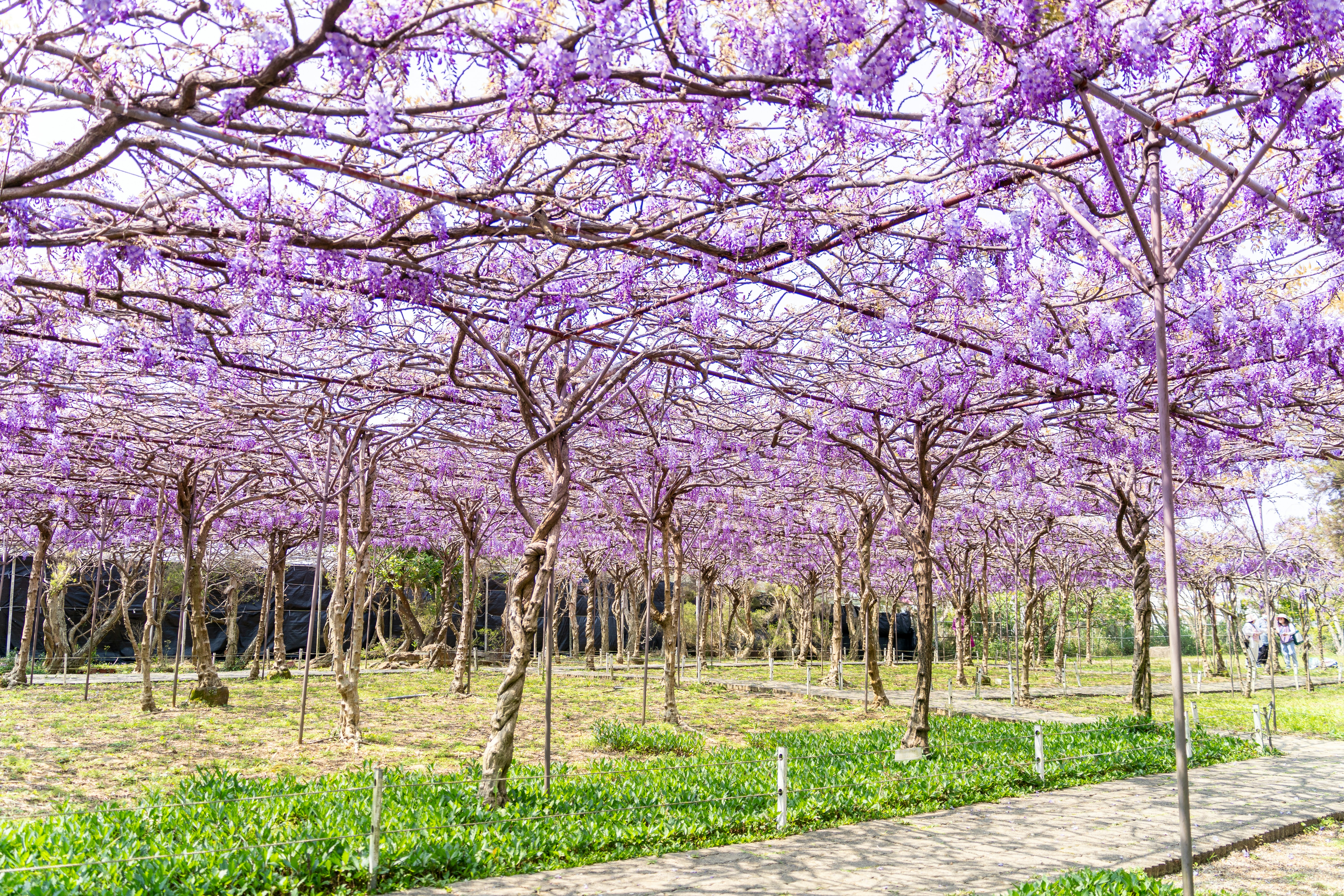 Photo by winstonchen