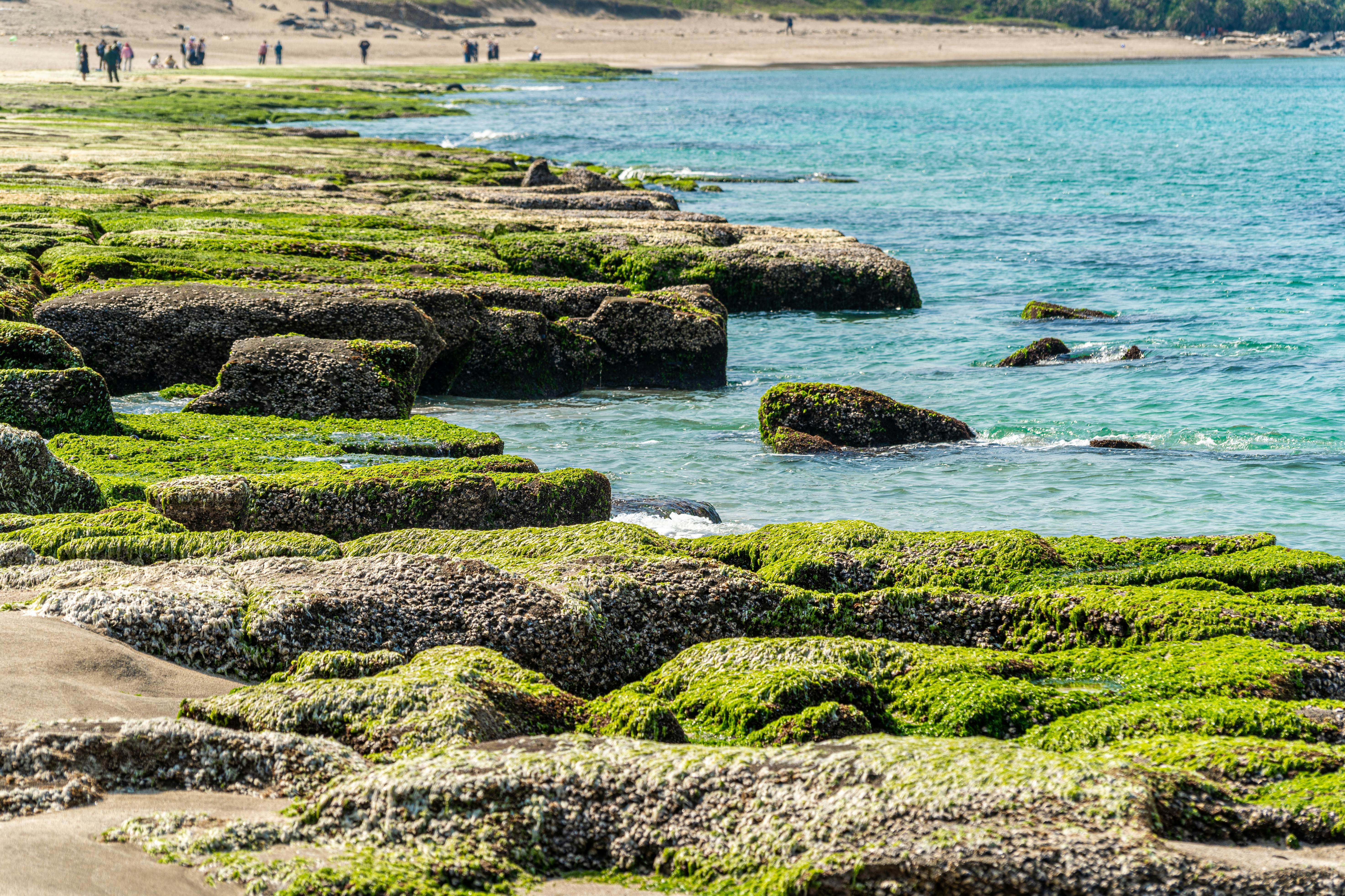 Photo by winstonchen